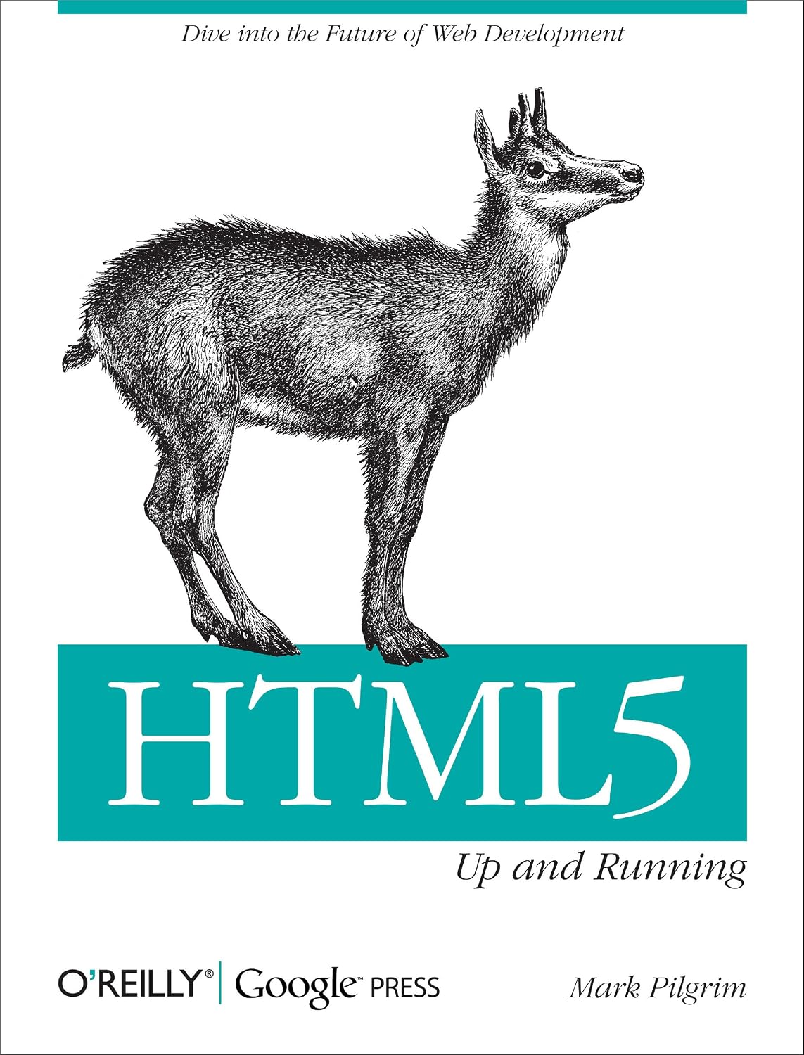 HTML5: Up and Running: Dive into the Future of Web Development (English Edition)