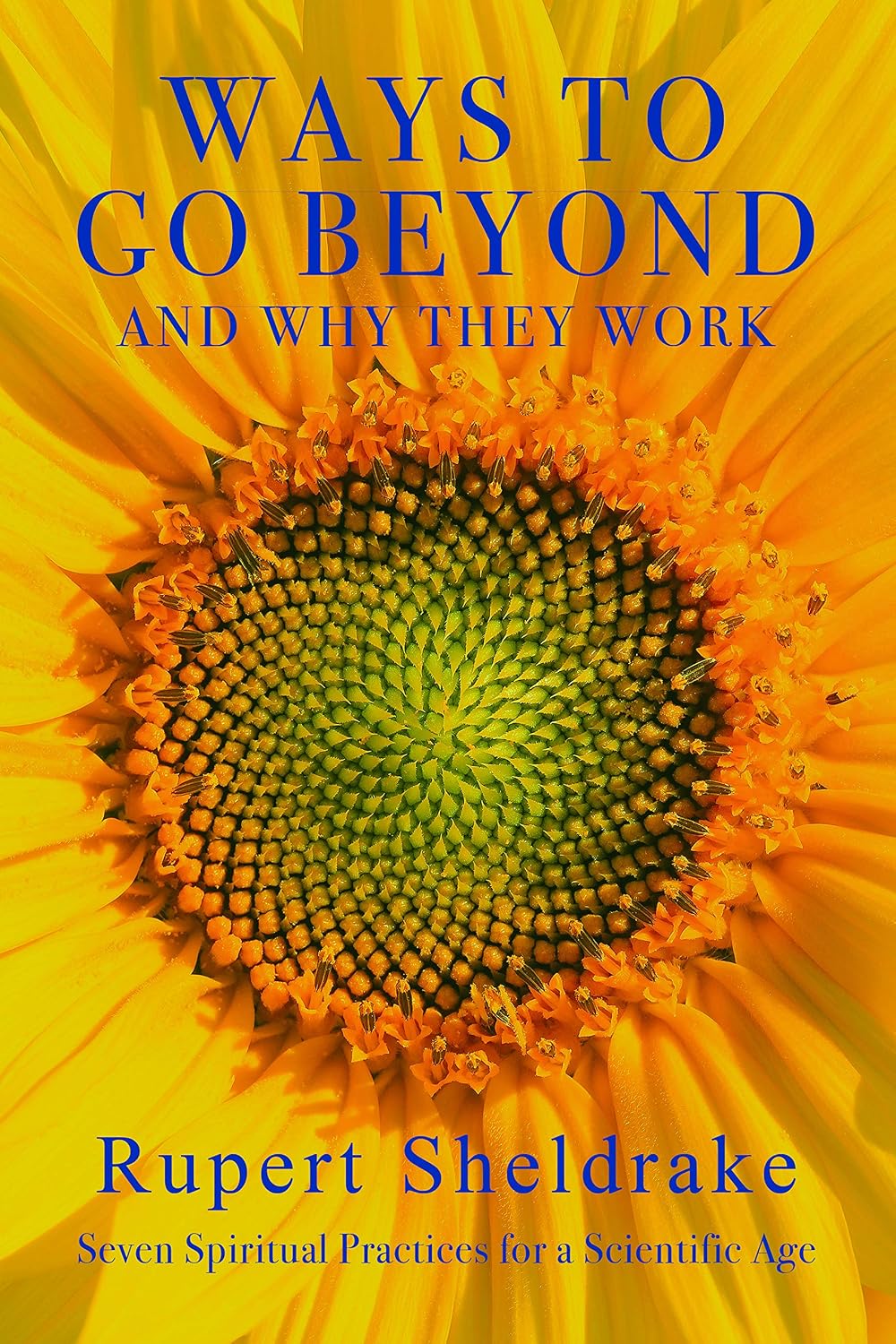 ler totalmente Ways to Go Beyond and Why They Work: Seven Spiritual Practices for a Scientific Age