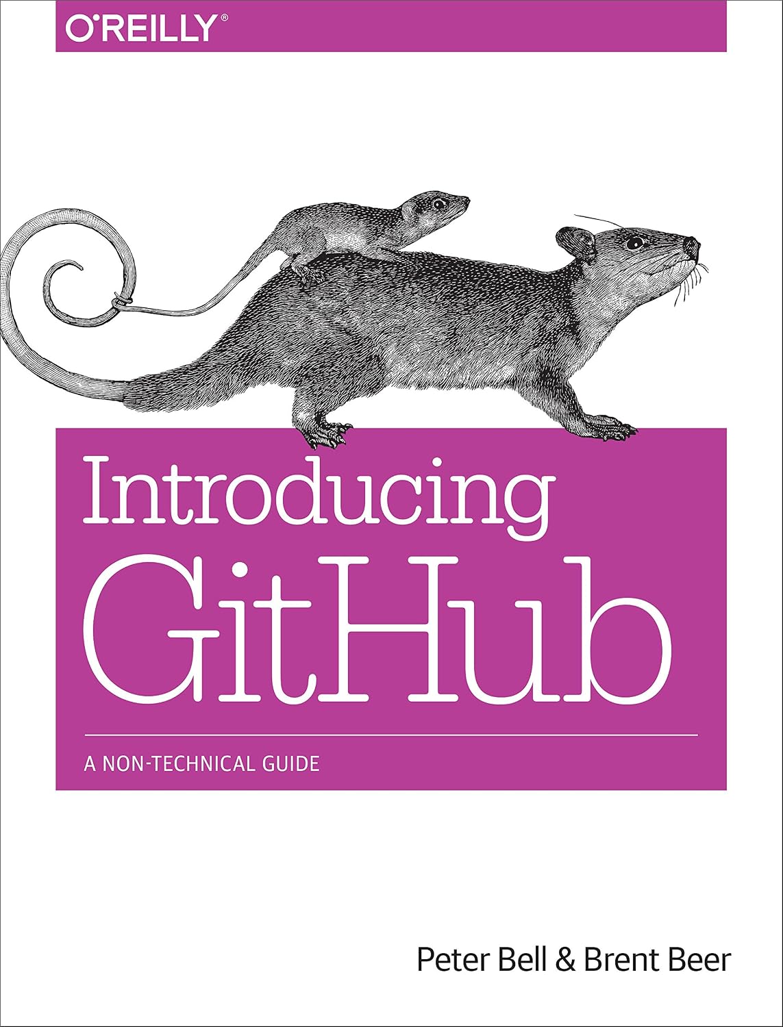 Introducing GitHub: A Non-Technical Guide (English Edition) baixar o livro de graça