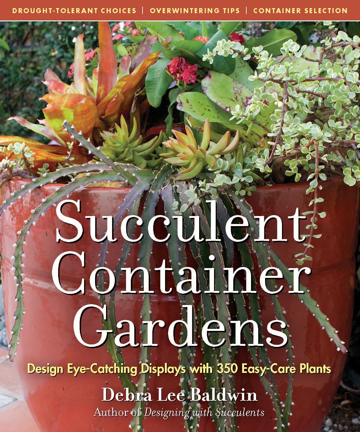 capítulo por capítulo baixar Succulent Container Gardens: Design Eye-Catching Displays with 350 Easy-Care Plants