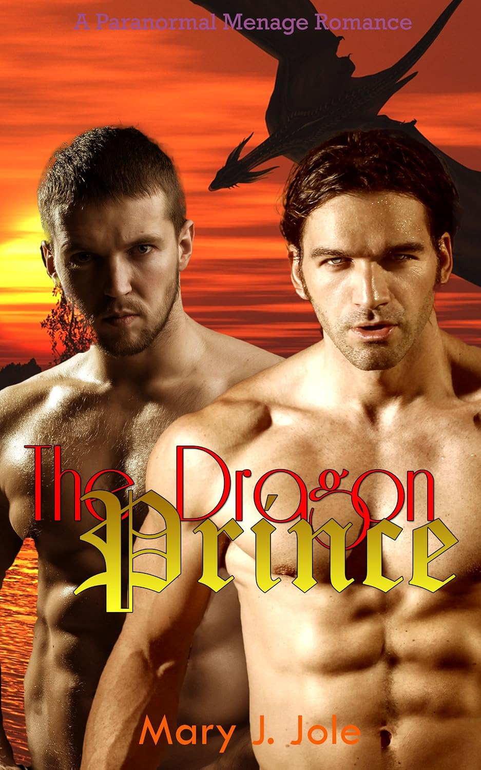 ler totalmente Romance: The Dragon Prince (Threesome Shifter Dragon Mystery New Adult College MMM Romance) (Paranormal Bisexual Menage Alpha Male Devil Short Stories) (English Edition)