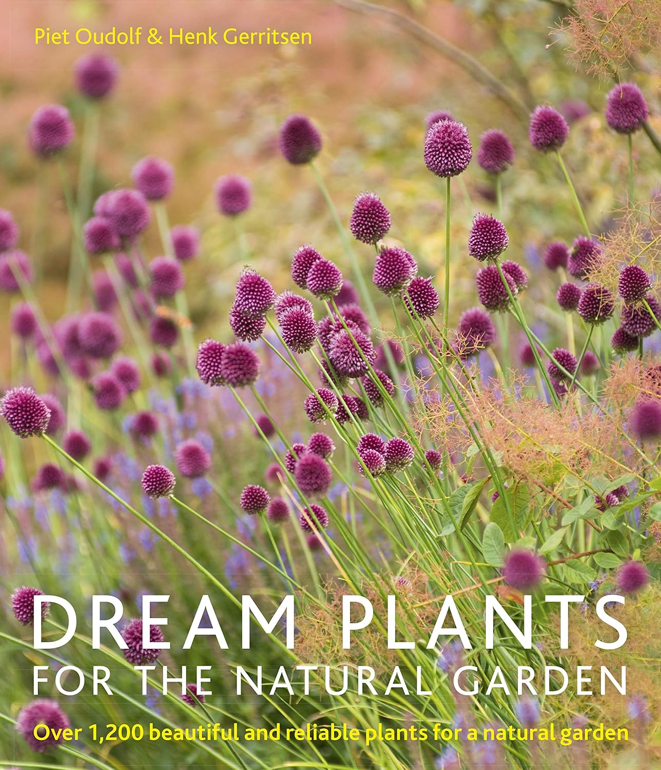 Dream Plants for the Natural Garden: Over 1,200 Beautiful and Reliable Plants for a Natural Garden baixar livro de graça
