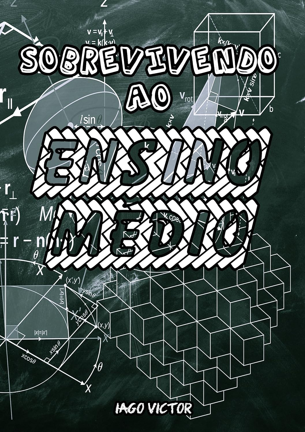 Sobrevivendo ao Ensino Médio baixar livro de graça