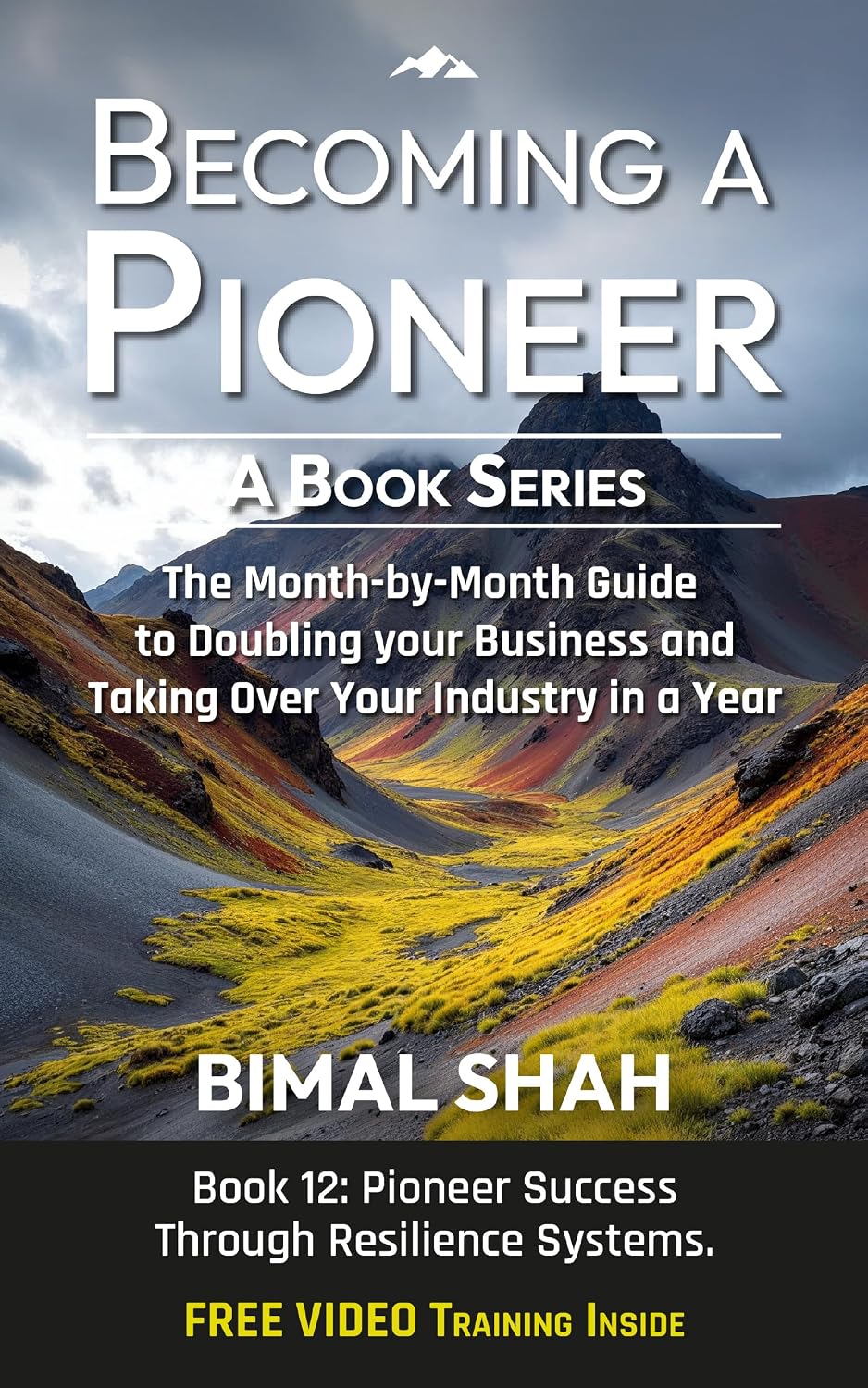 ler totalmente Becoming a Pioneer- A Book Series: The Month-by-Month Guide to Doubling Your Business and Taking Over Your Industry In A Year-Book 12 (English Edition)