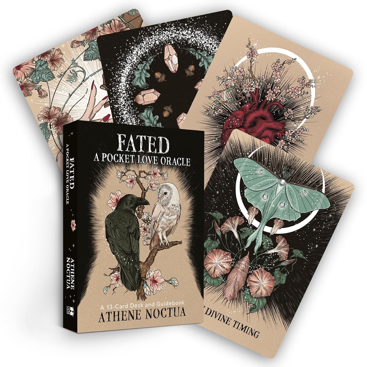 Fated: A Pocket Love Oracle: A 13-Card Deck and Guidebook baixar livro de graça