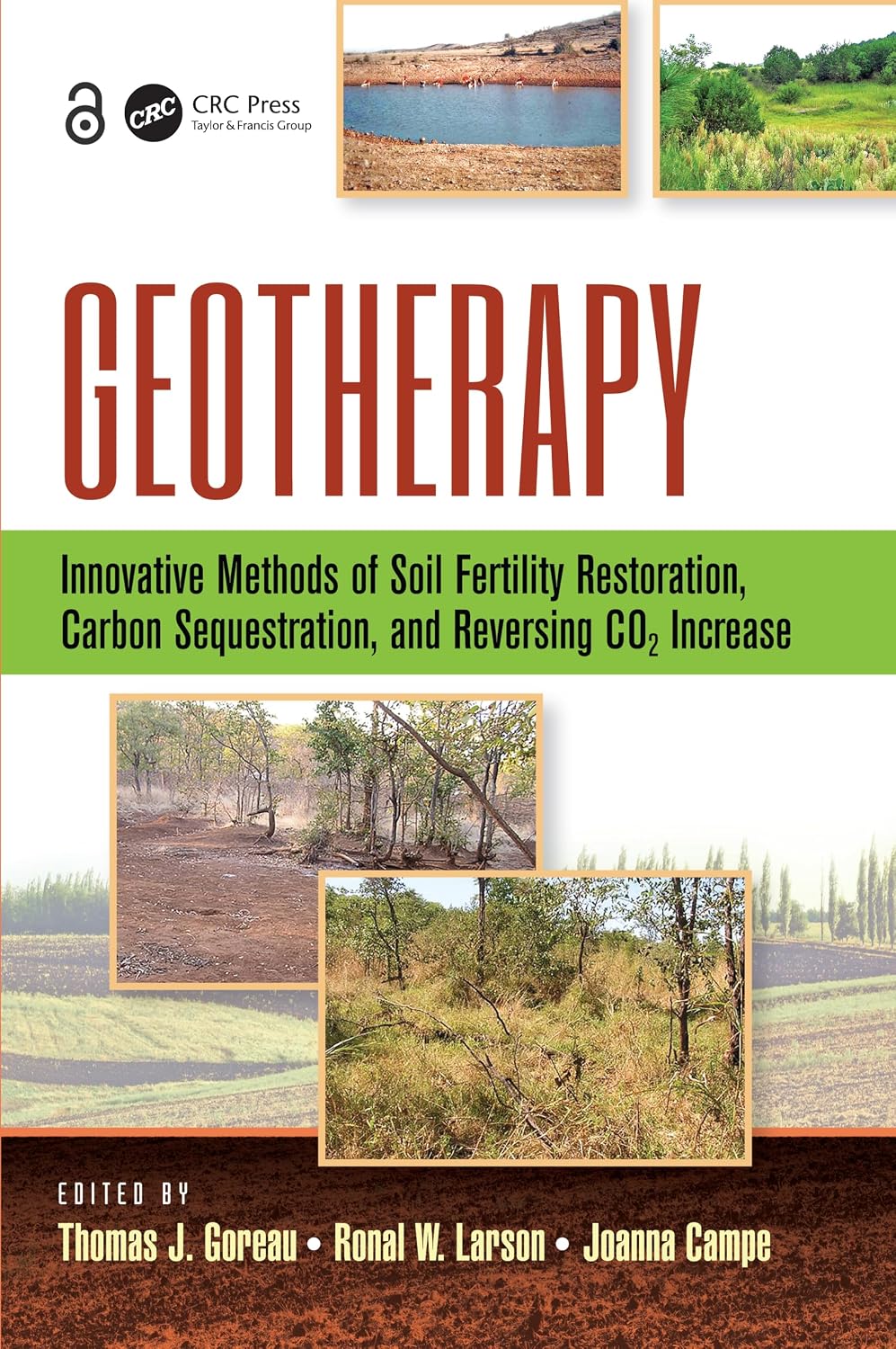 ler totalmente Geotherapy: Innovative Methods of Soil Fertility Restoration, Carbon Sequestration, and Reversing CO2 Increase