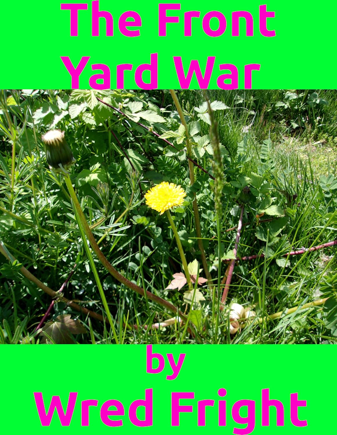 The Front Yard War (English Edition) baixar livro de graça