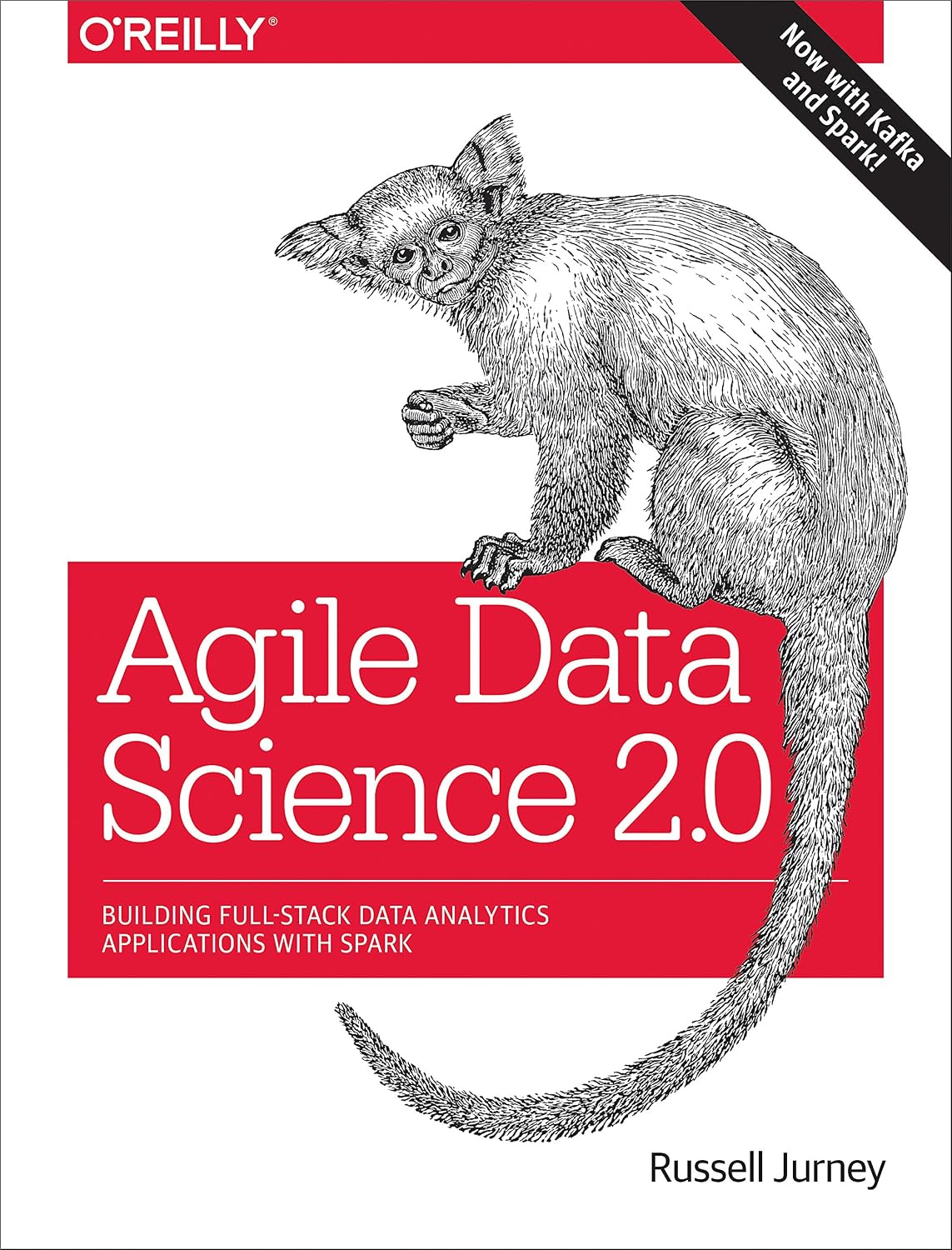 Agile Data Science 2.0: Building Full-Stack Data Analytics Applications with Spark (English Edition) baixar o livro de graça