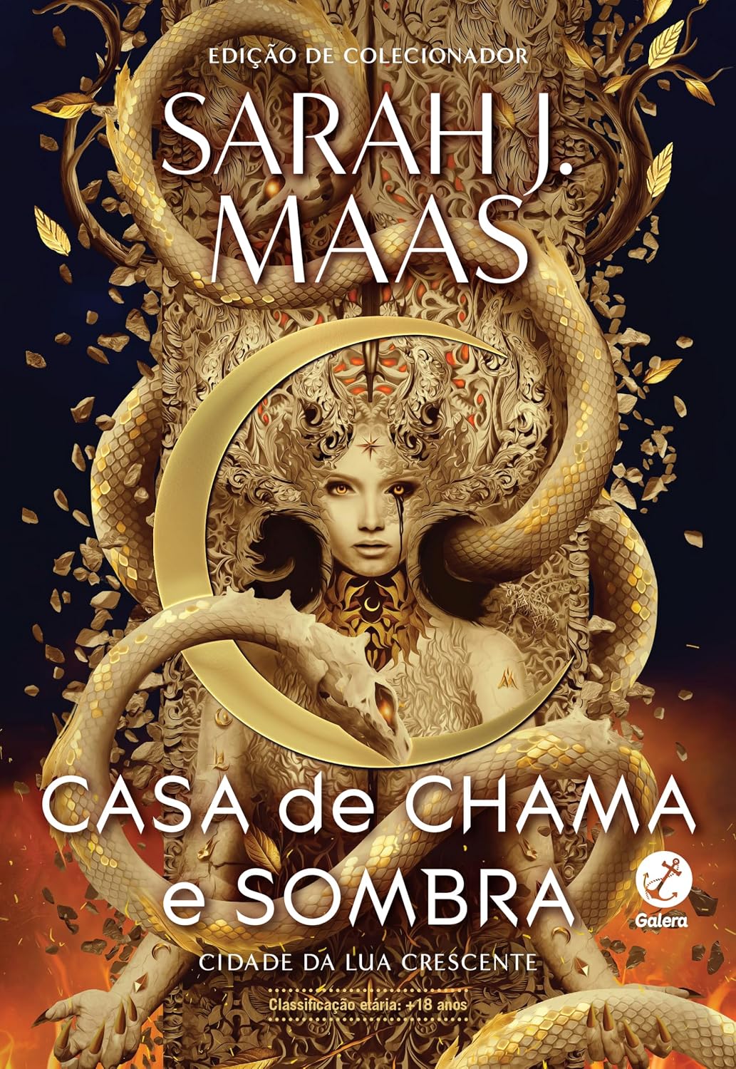 Cidade da Lua Crescente: Casa de chama e sombra (Vol. 3) baixar o livro de graça