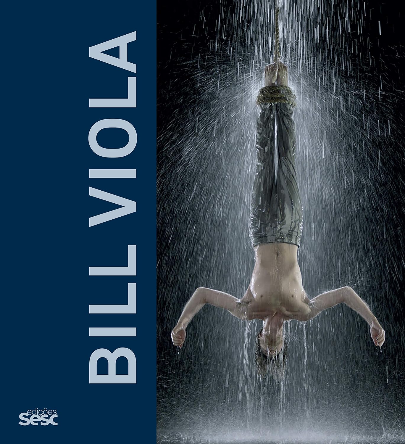 ler totalmente Bill Viola