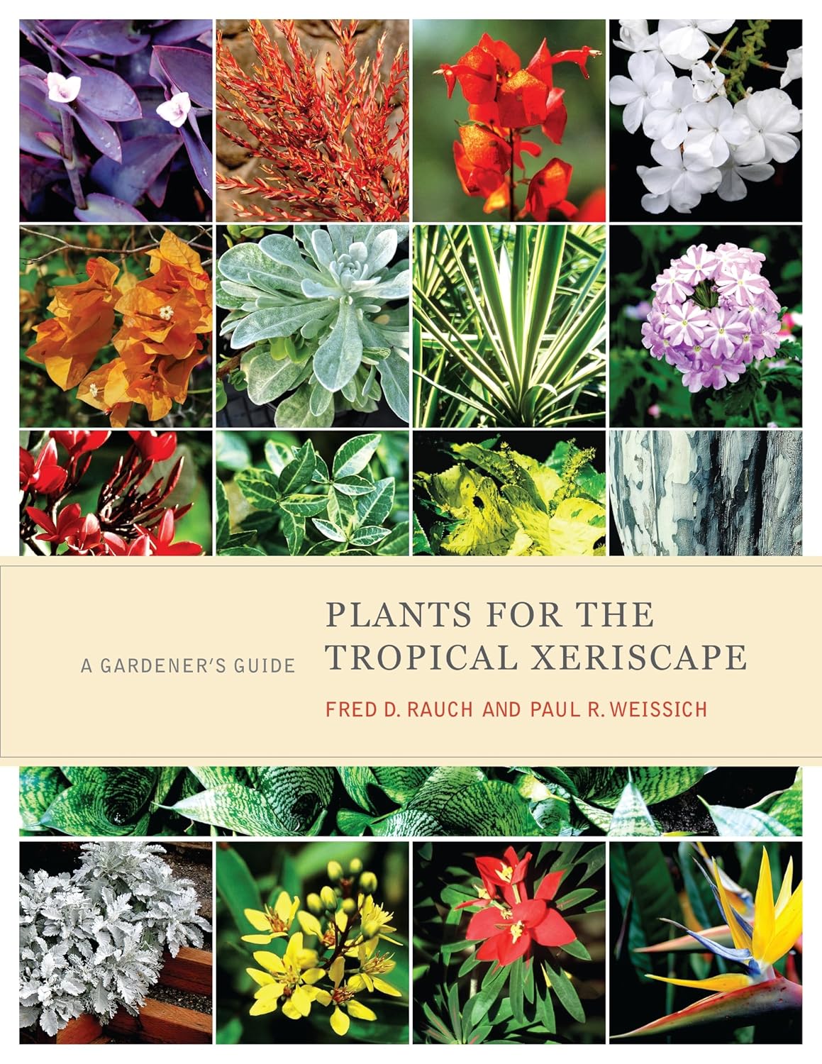 capítulo por capítulo baixar Plants for the Tropical Xeriscape: A Gardener's Guide