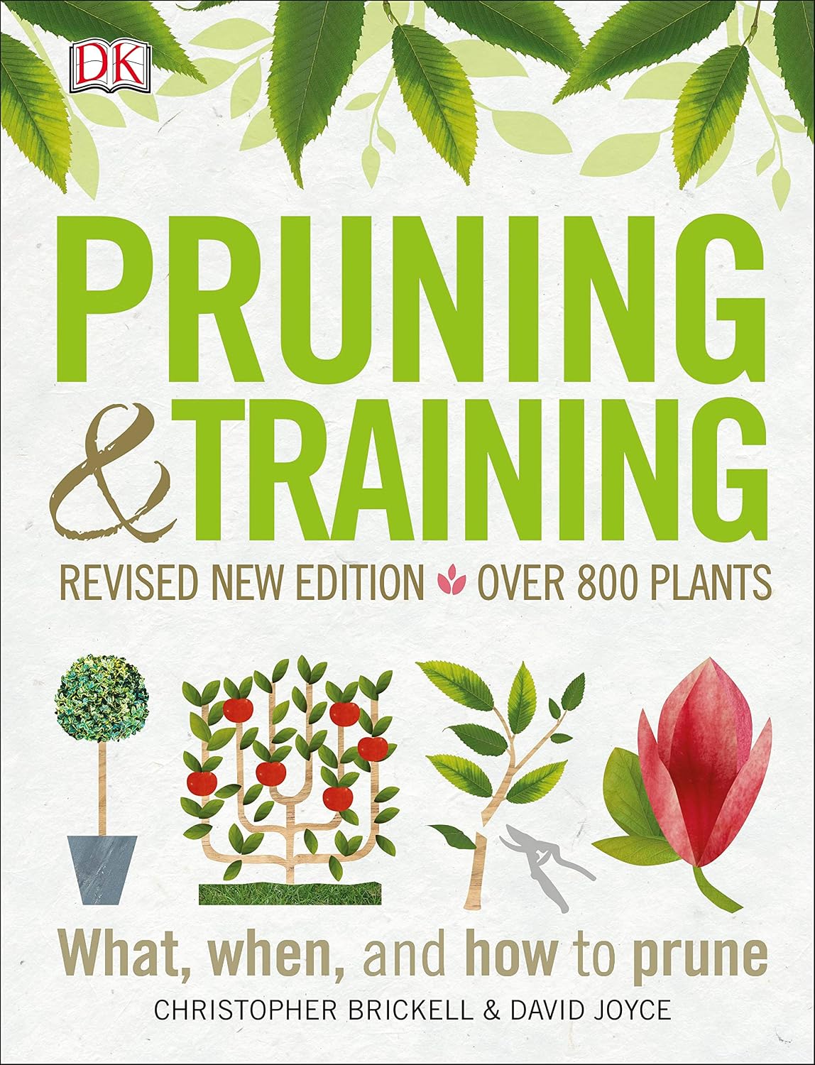 ler totalmente Pruning and Training, Revised New Edition: What, When, and How to Prune