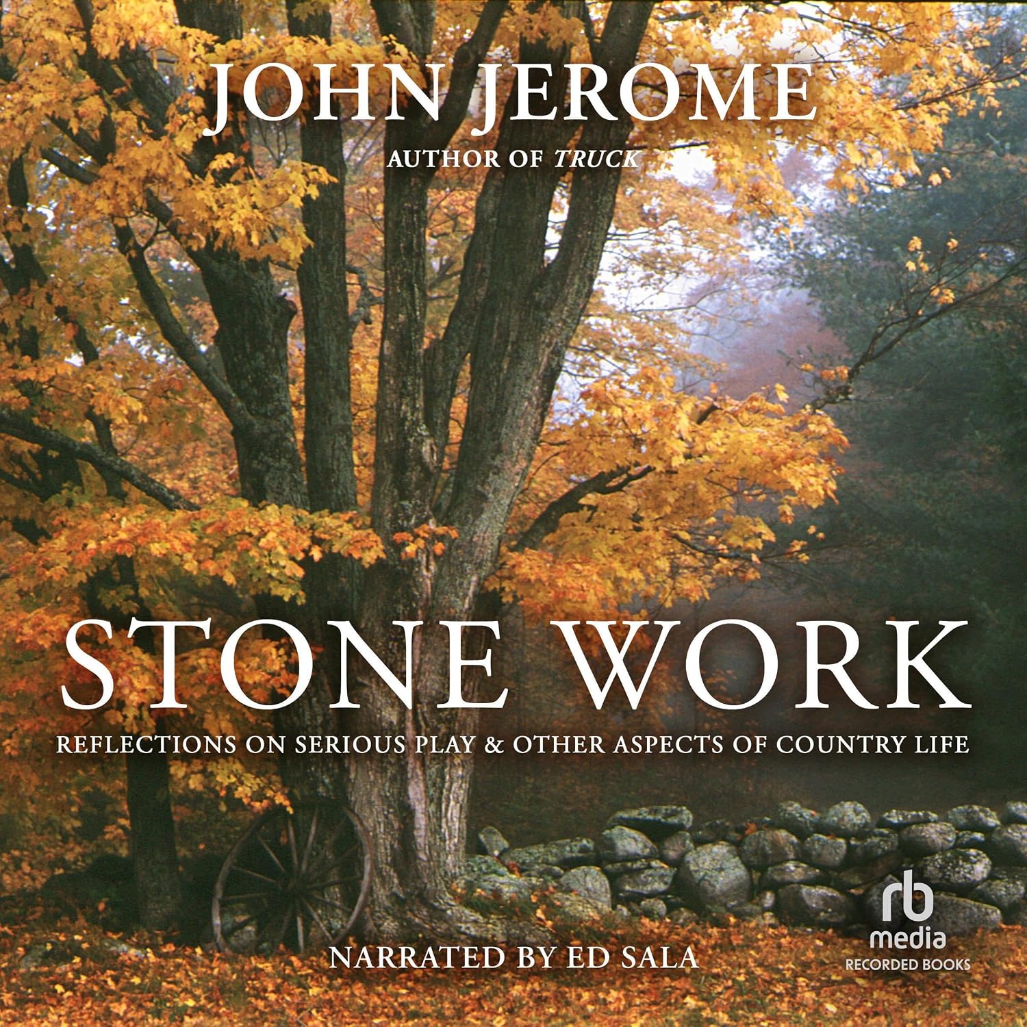 Stone Work baixar o livro de graça