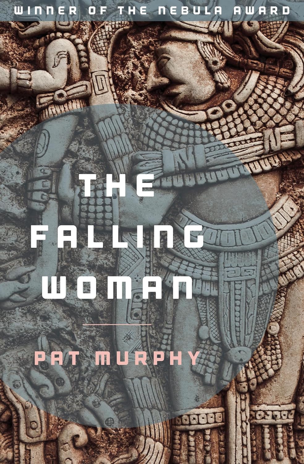 The Falling Woman (English Edition) baixar livro de graça