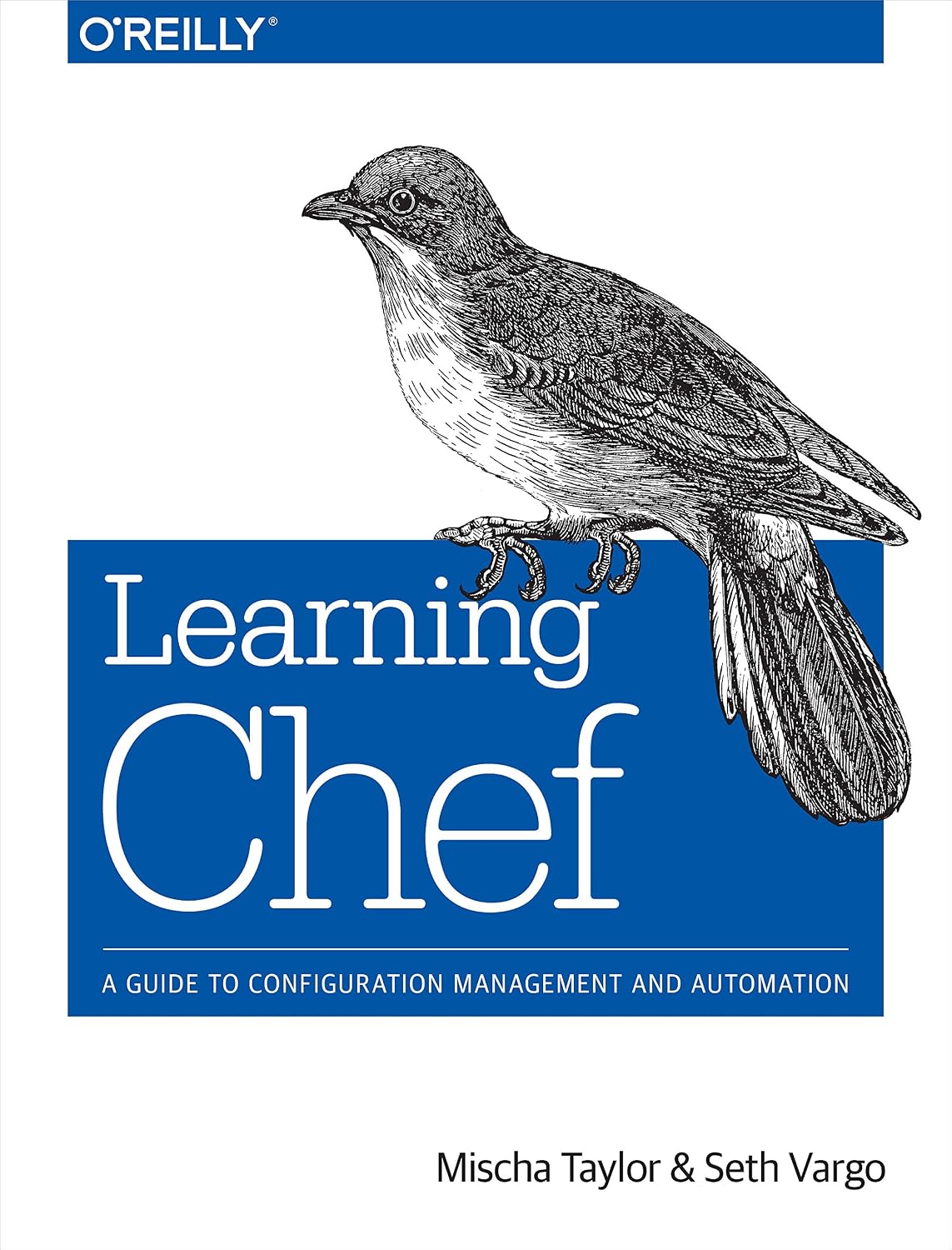Learning Chef: A Guide to Configuration Management and Automation (English Edition) baixar livro de graça