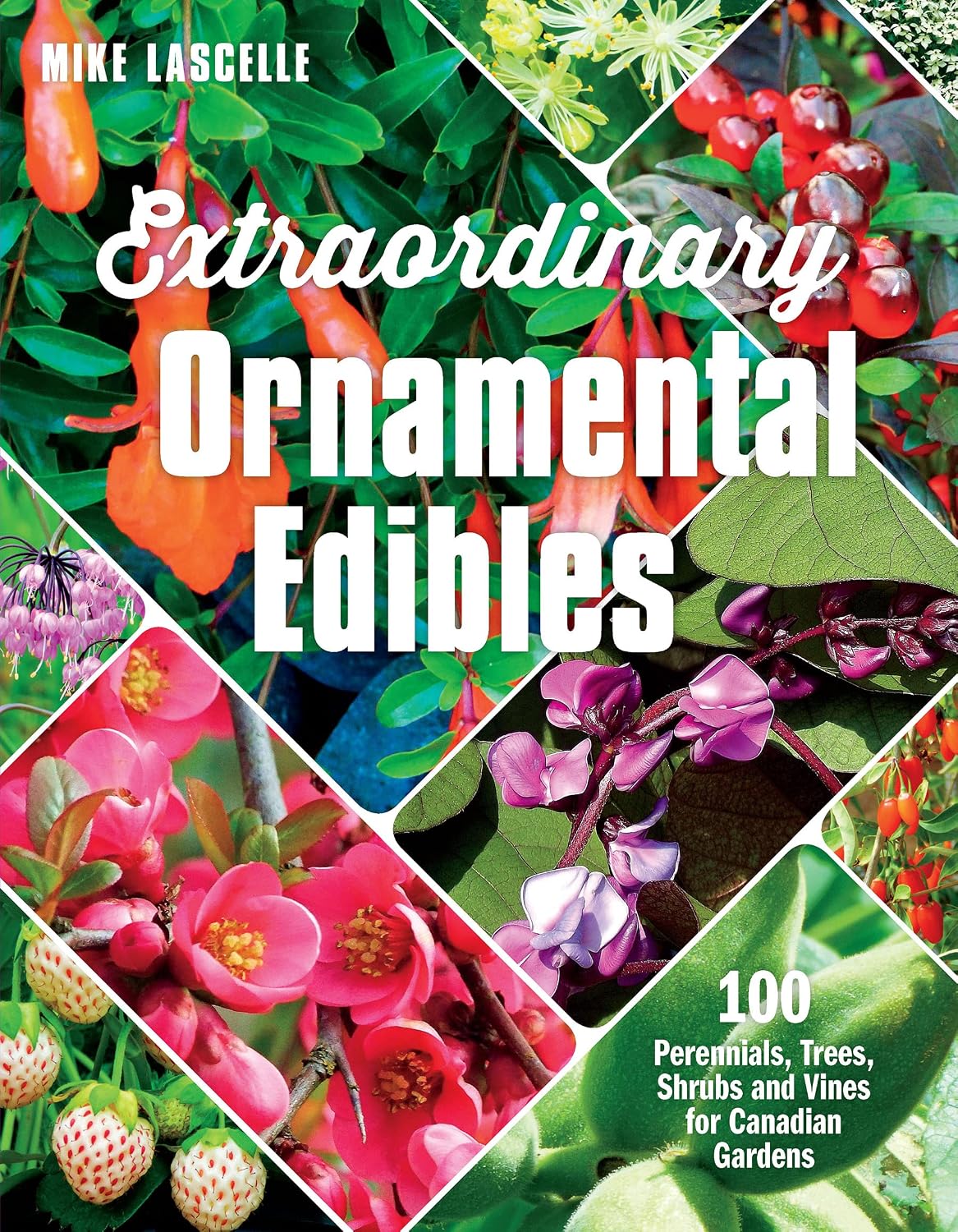 Extraordinary Ornamental Edibles: 100 Perennials, Trees, Shrubs and Vines for Canadian Gardens baixar livro de graça