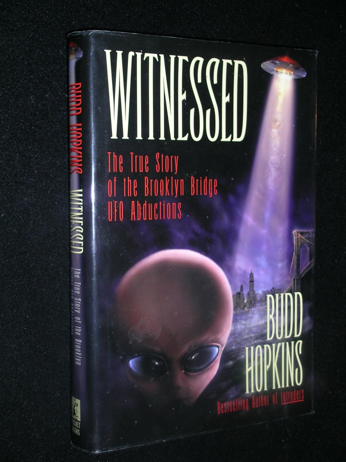 capítulo por capítulo baixar Witnessed: The True Story of the Brooklyn Bridge Ufo Abductions