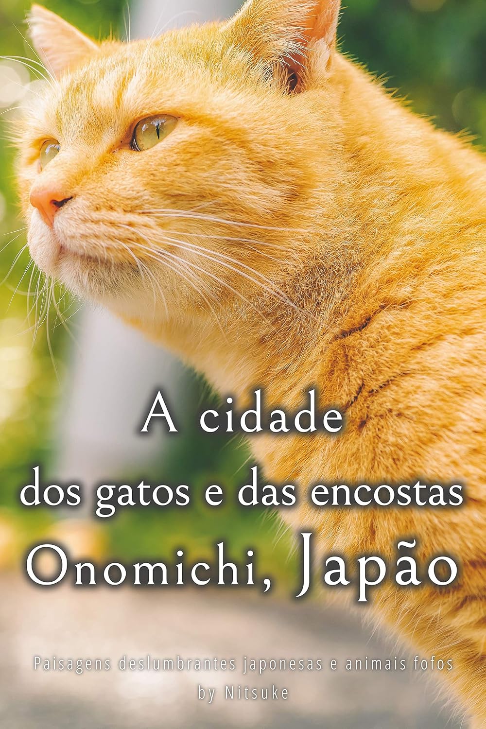 A cidade dos gatos e das encostas - Onomichi, Japão (Paisagens deslumbrantes japonesas e animais fofos Livro 4) baixar o livro de graça