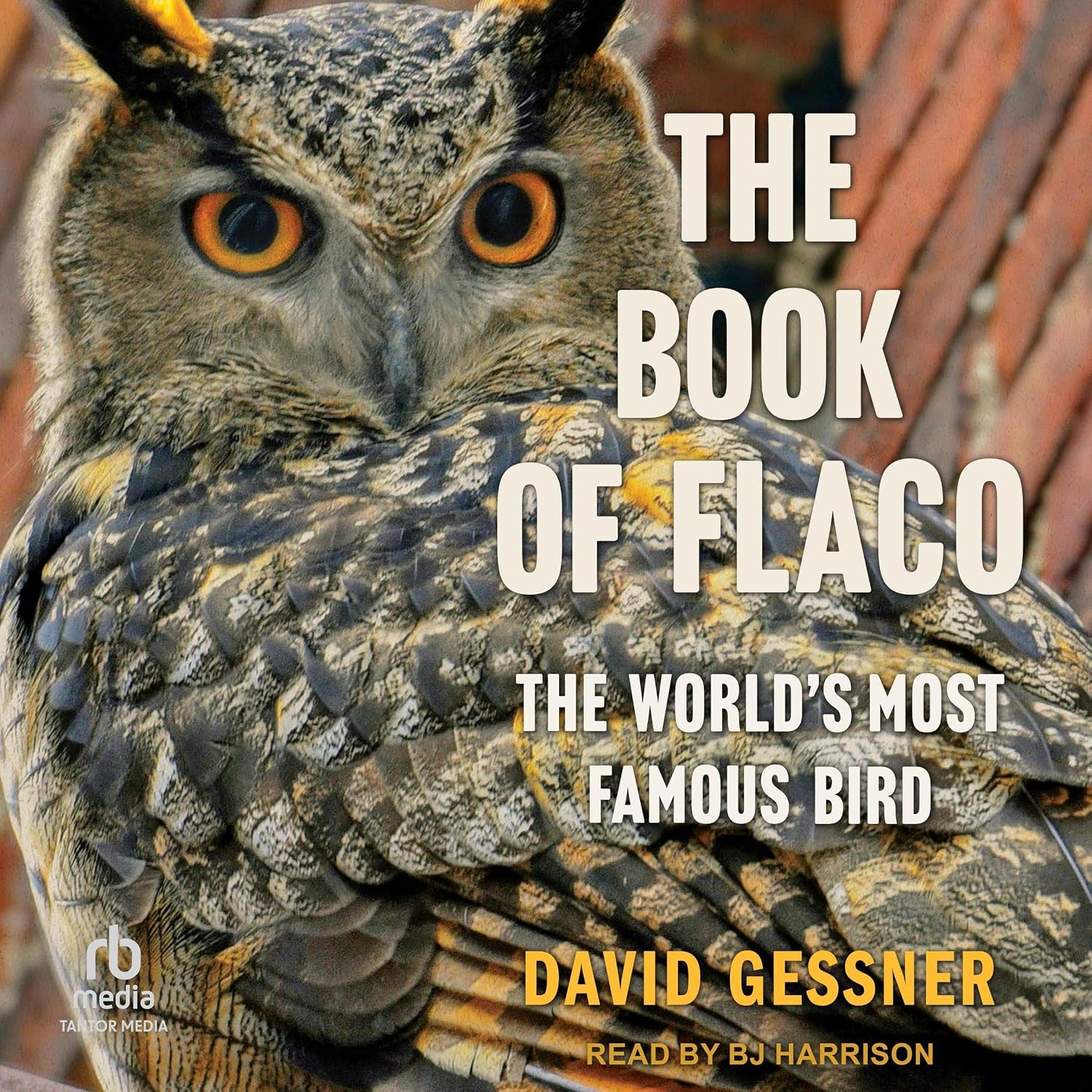 capítulo por capítulo baixar The Book of Flaco: The World’s Most Famous Bird