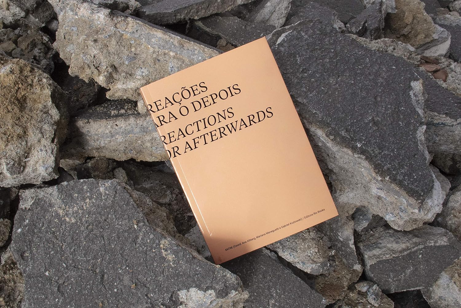 8 Reações Para o Depois - 8 Reactions for Afterwards baixar livro de graça