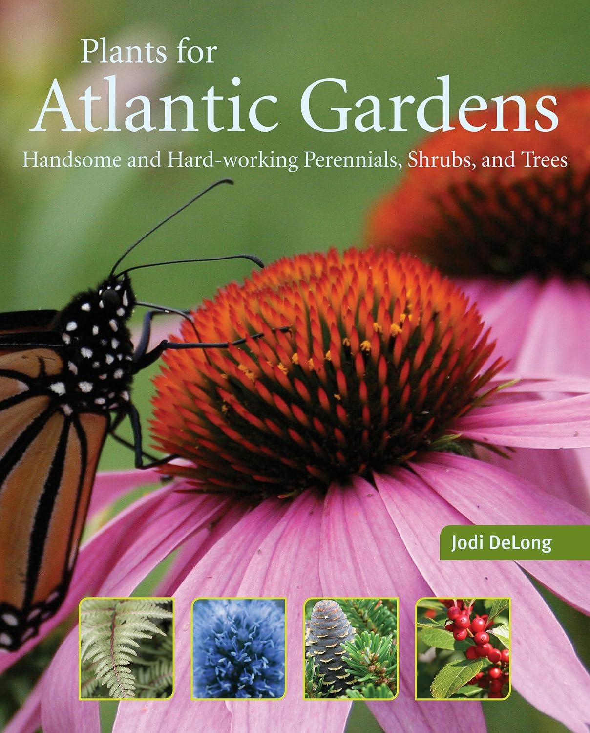 Plants for Atlantic Gardens: Handsome and Hard-Working Shrubs, Trees, and Perennials baixar livro de graça