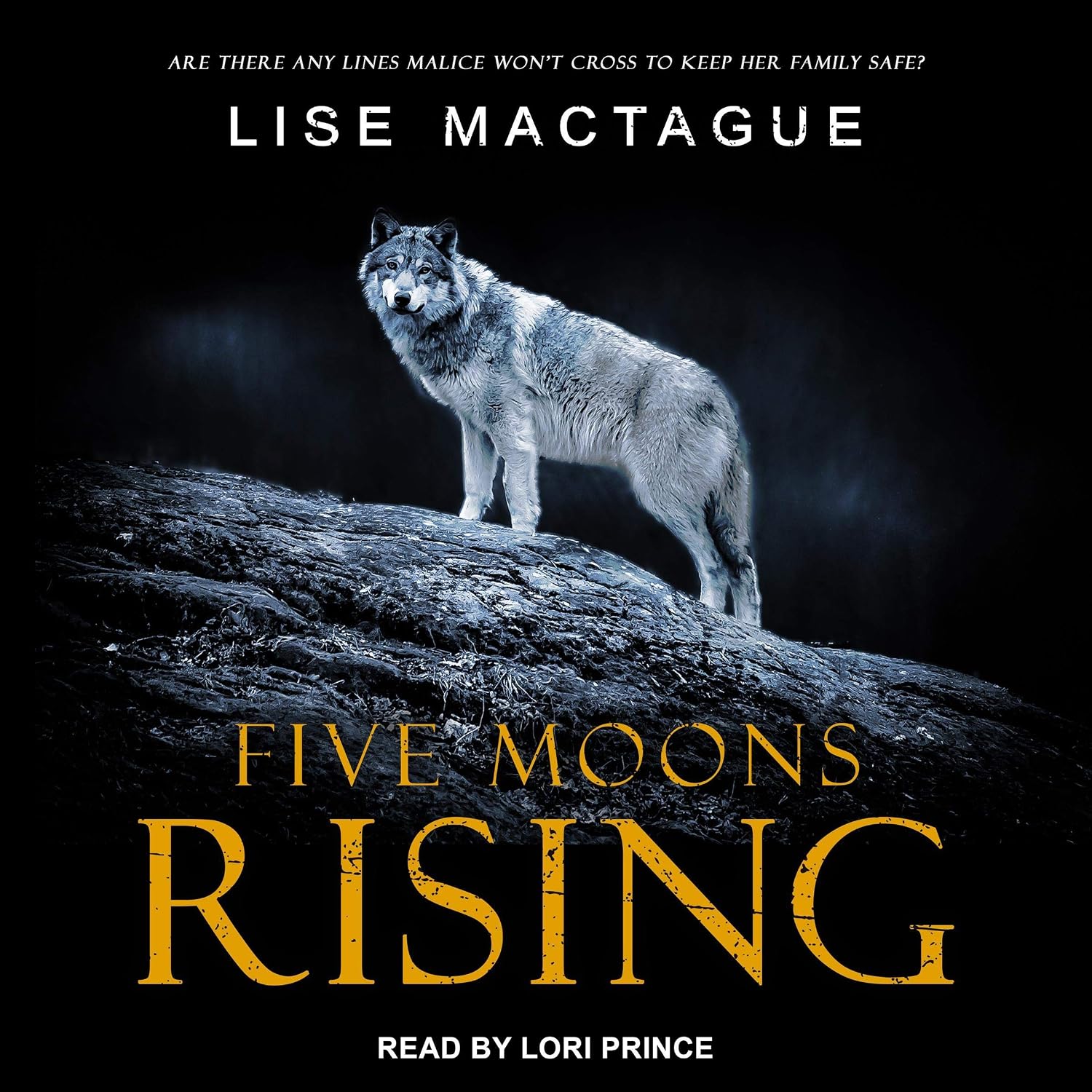 Five Moons Rising: Five Moons Rising, Book 1