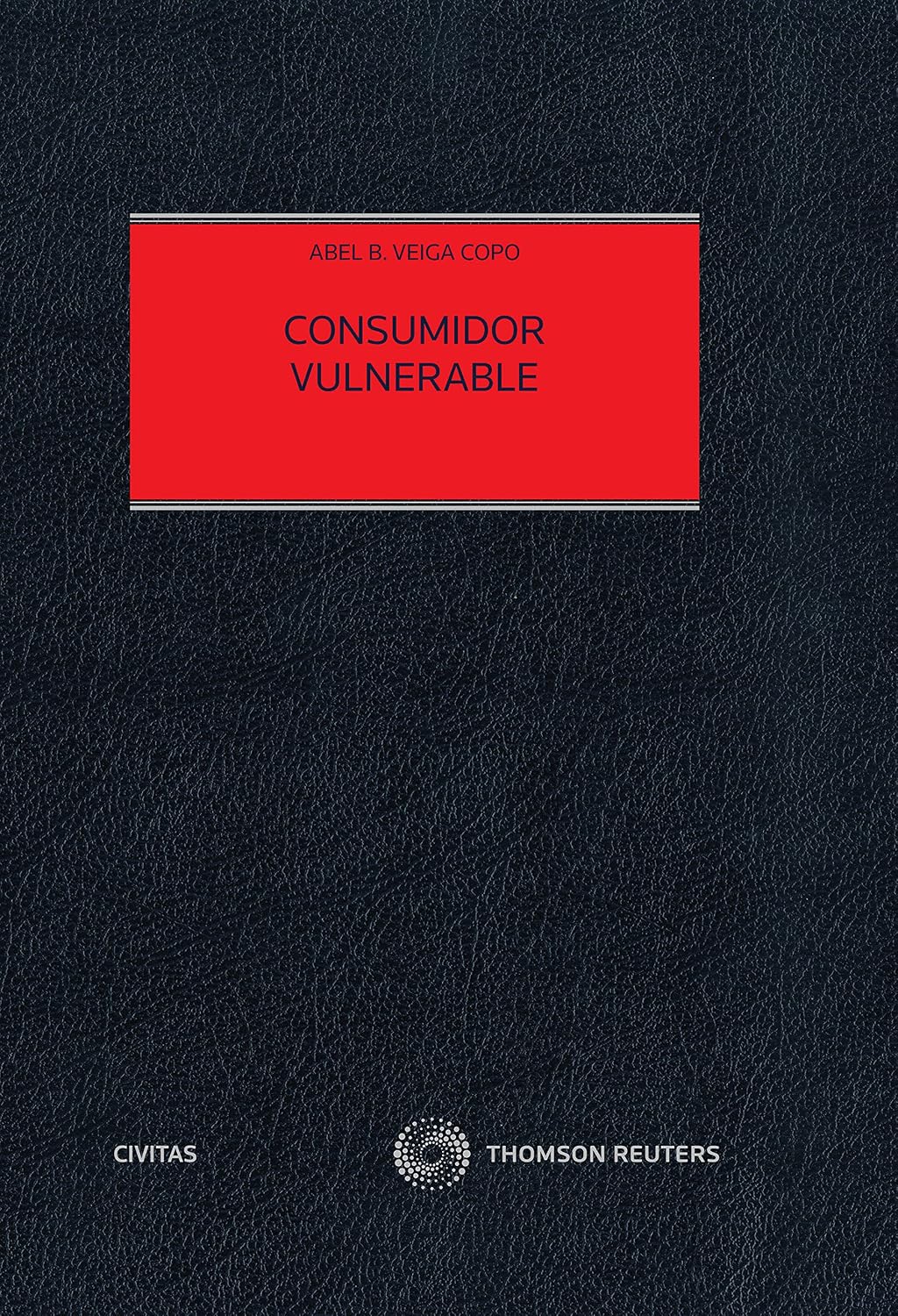 capítulo por capítulo baixar Consumidor vulnerable (Estudios y Comentarios de Civitas) (Spanish Edition)