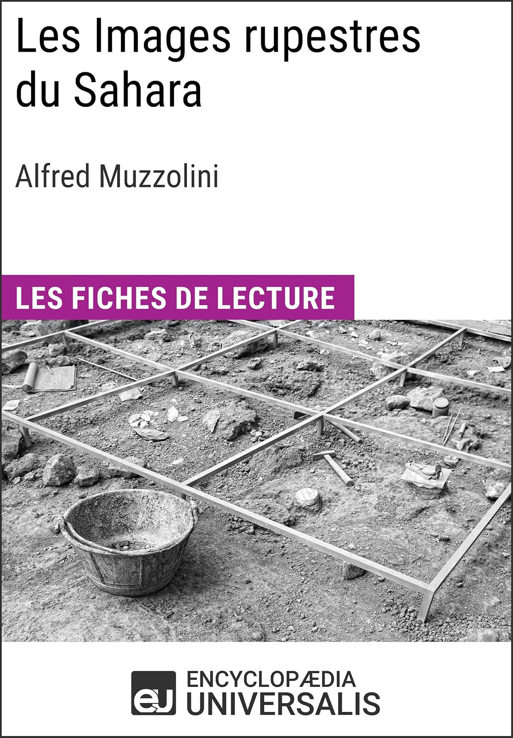 ler totalmente Les Images rupestres du Sahara d'Alfred Muzzolini: Les Fiches de Lecture d'Universalis (French Edition)