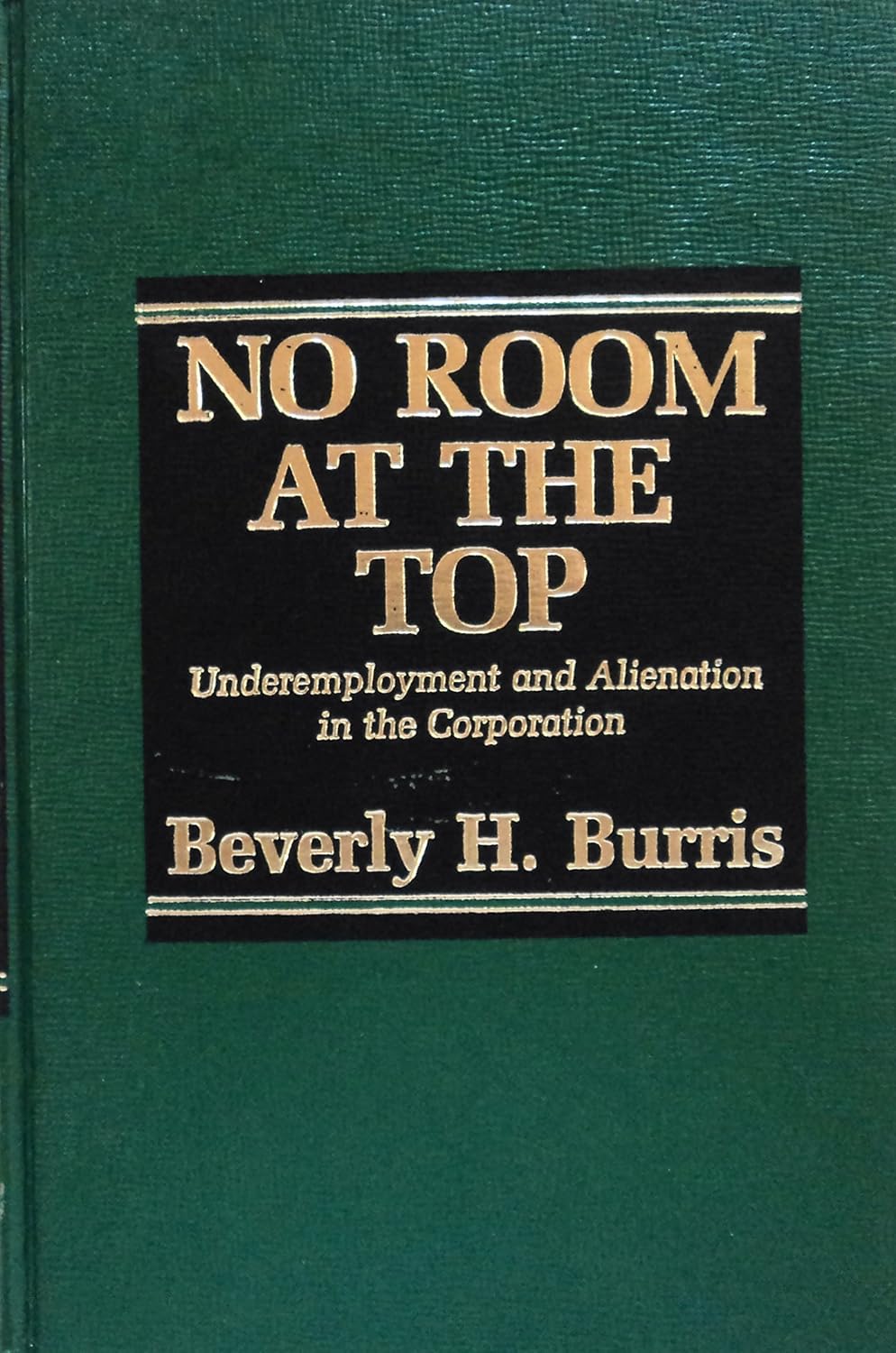 No Room at the Top: Underemployment and Alienation in the Corporation baixar livro de graça