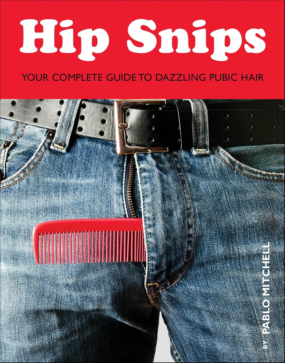 ler totalmente Hip Snips: Your Complete Guide to Dazzling Pubic Hair (English Edition)