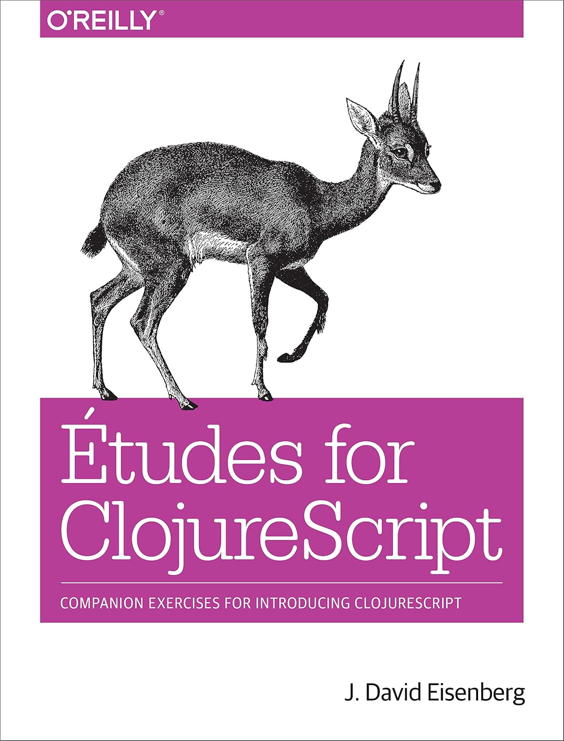 Etudes for ClojureScript (English Edition)