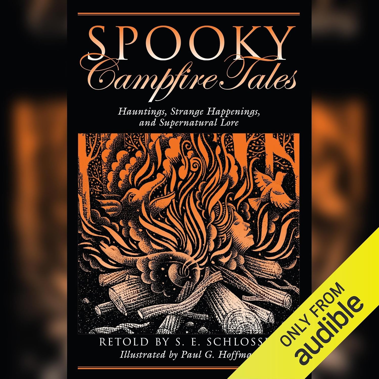 capítulo por capítulo baixar Spooky Campfire Tales: Hauntings, Strange Happenings, And Supernatural Lore