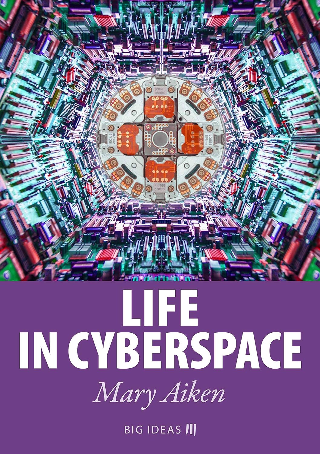 Life in Cyberspace (Big Ideas Book 5) (English Edition)