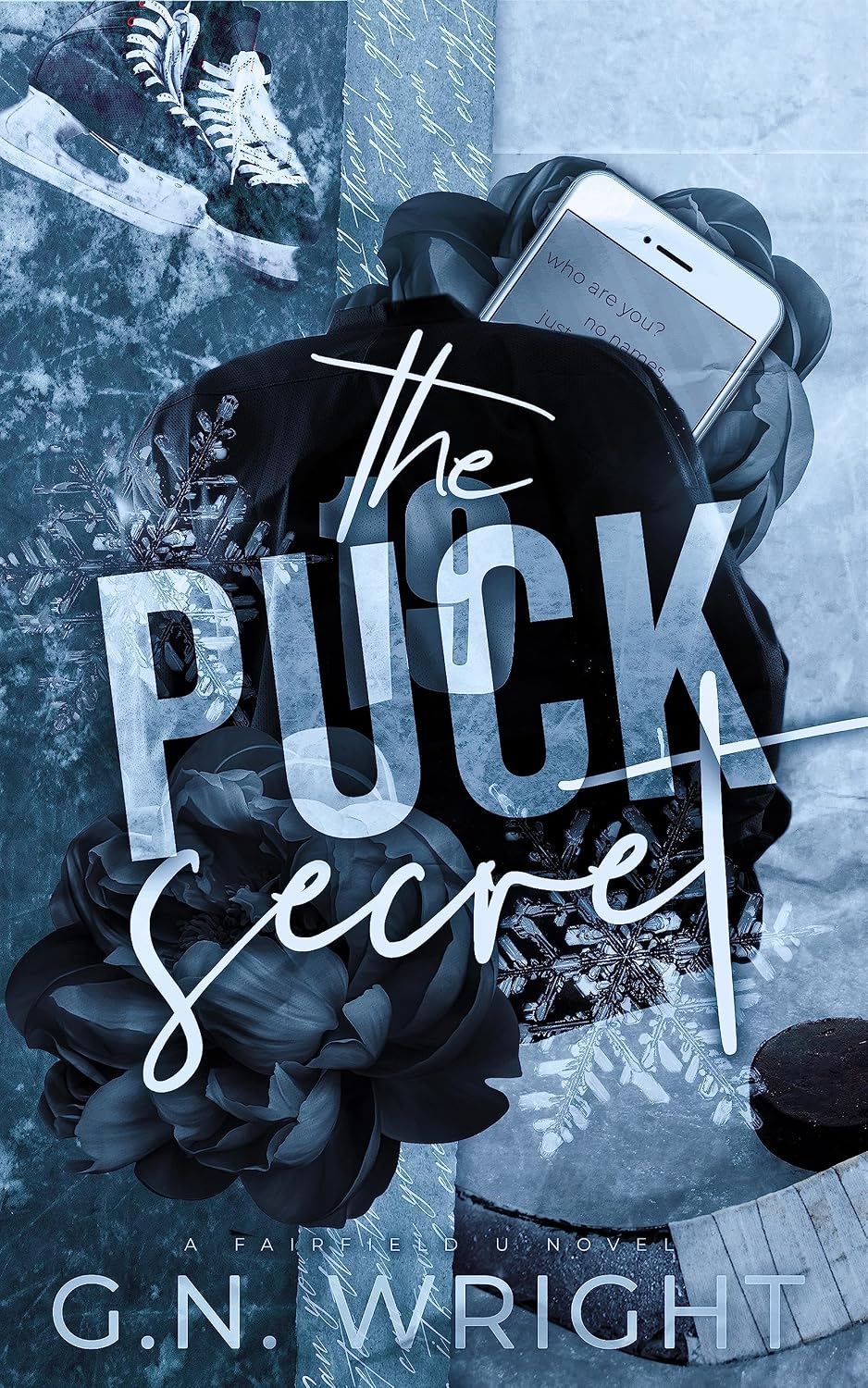 The Puck Secret (Fairfield U Book 1) (English Edition) baixar livro de graça