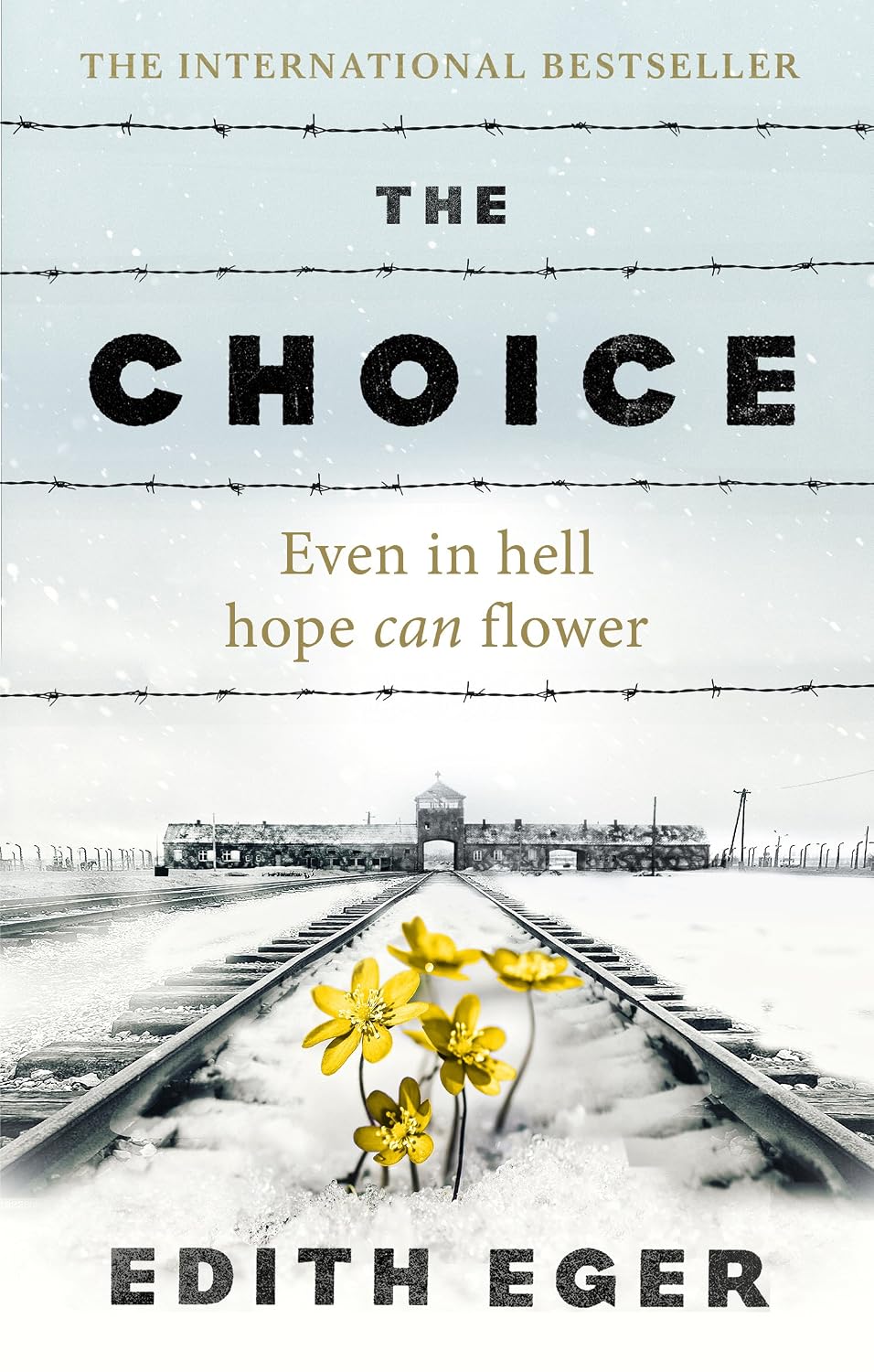 capítulo por capítulo baixar The Choice: A true story of hope