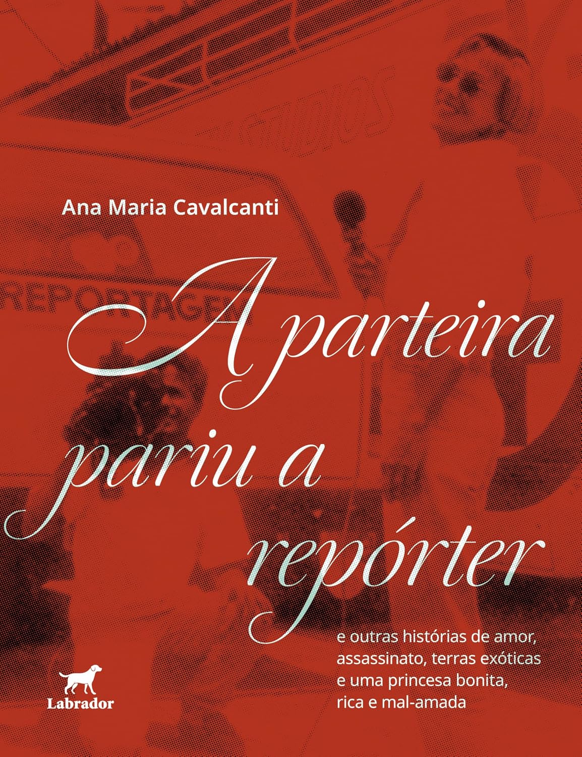 capítulo por capítulo baixar A parteira pariu a repórter: e outras histórias de amor, assassinato, terras exóticas e de uma princesa bonita, rica e mal-amada