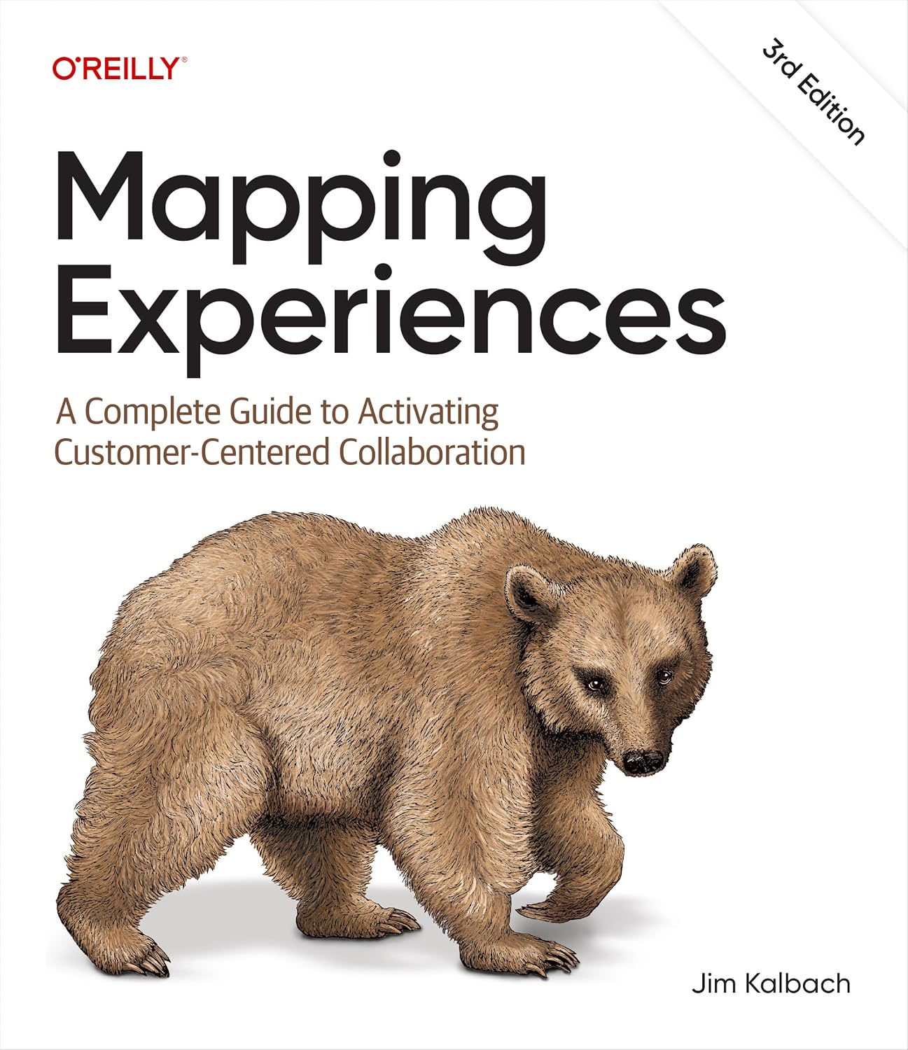 ler totalmente Mapping Experiences: A Complete Guide to Activating Customer-Centered Collaboration (English Edition)