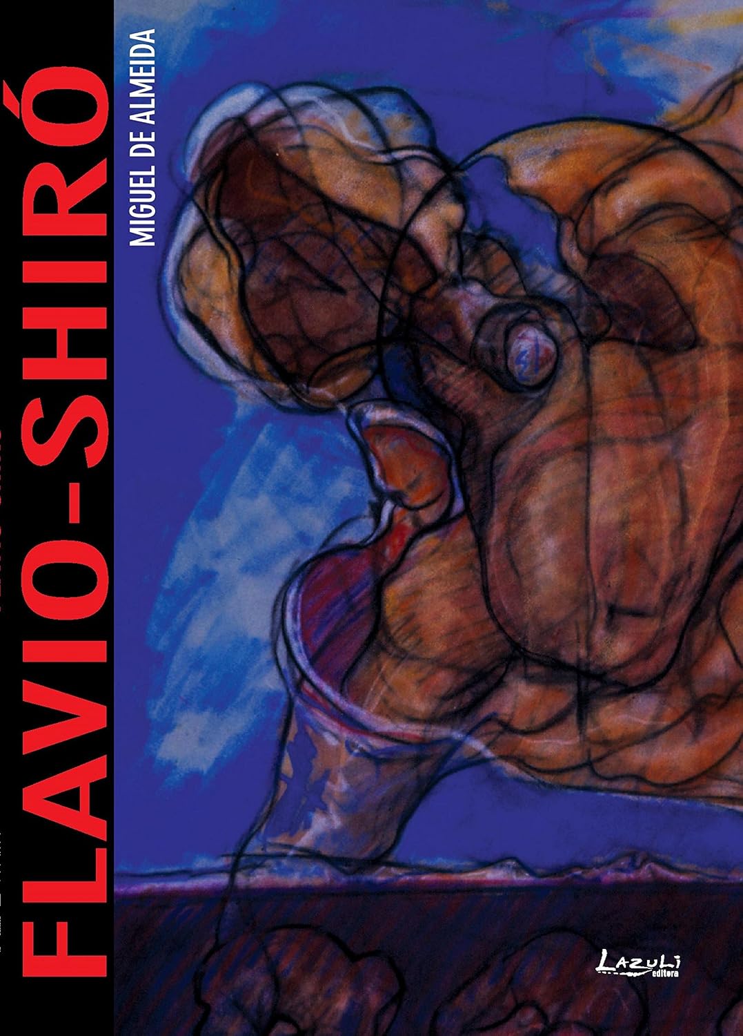 Flávio Shiró (Arte de Bolso)