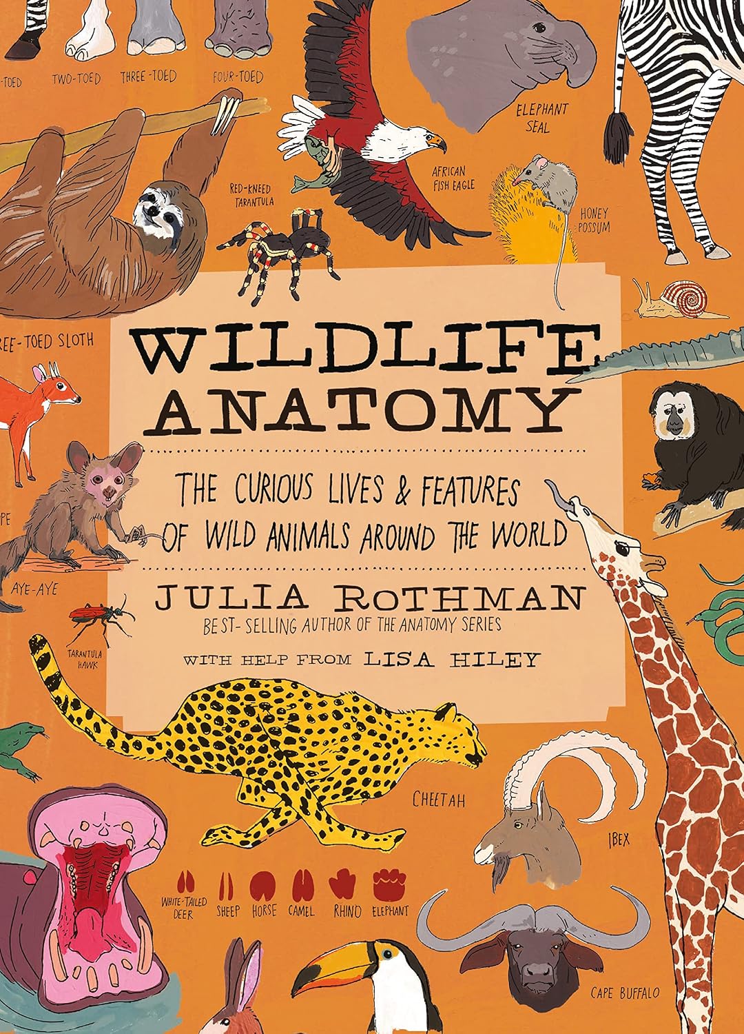capítulo por capítulo baixar Wildlife Anatomy: The Curious Lives & Features of Wild Animals Around the World