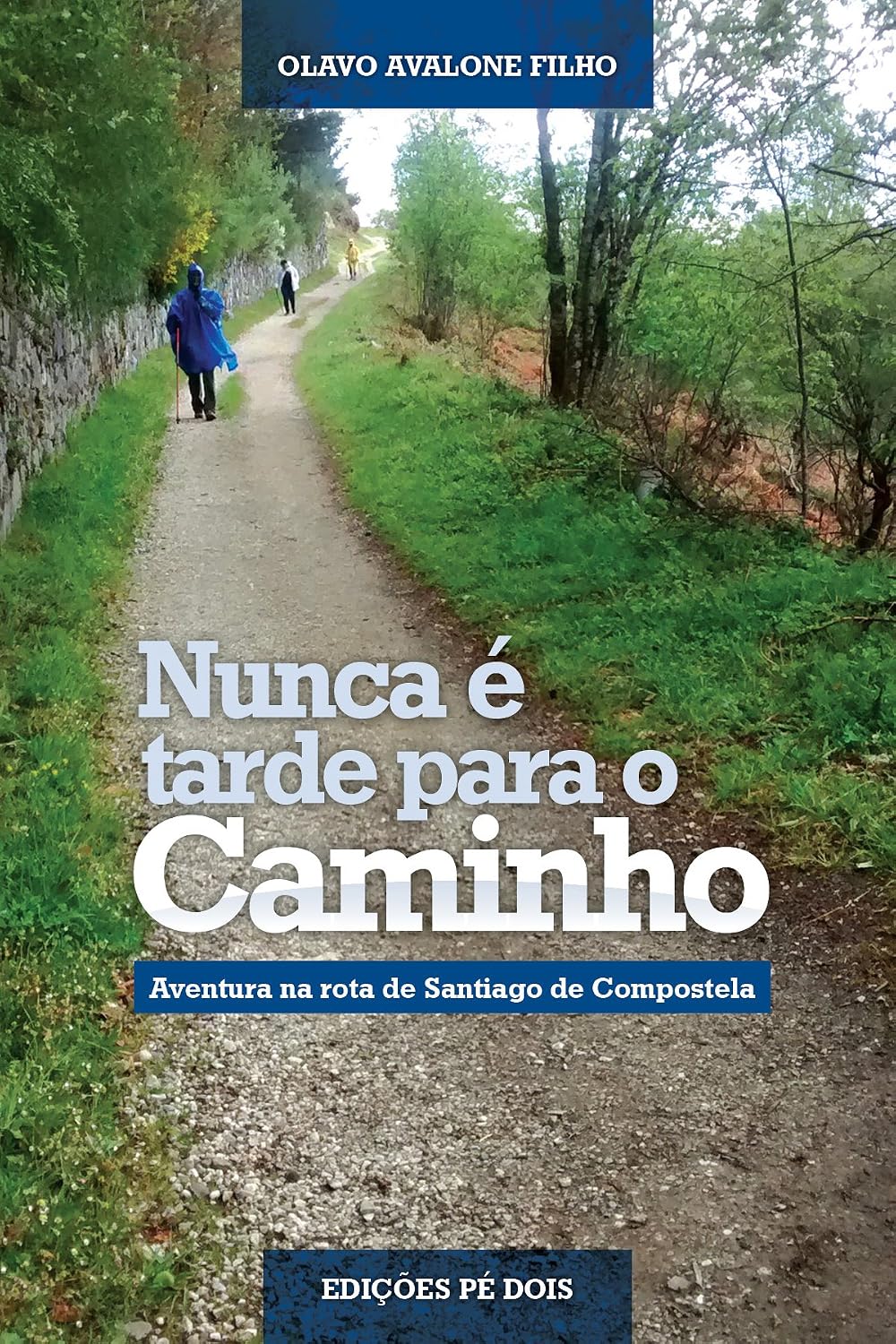 Nunca é tarde para o Caminho: Aventura na rota de Santiago de Compostela baixar livro de graça