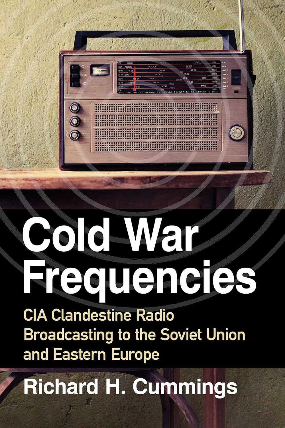 Cold War Frequencies: CIA Clandestine Radio Broadcasting to the Soviet Union and Eastern Europe (English Edition) baixar livro de graça