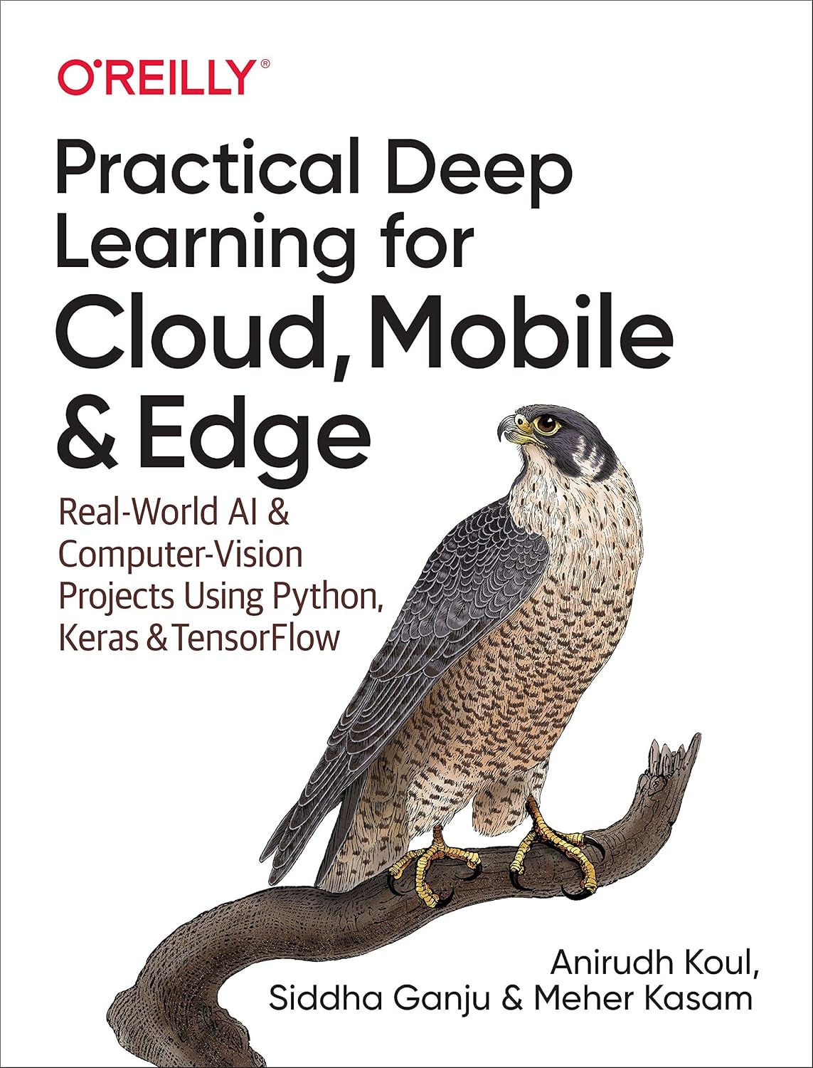 ler totalmente Practical Deep Learning for Cloud, Mobile, and Edge: Real-World AI & Computer-Vision Projects Using Python, Keras & TensorFlow
