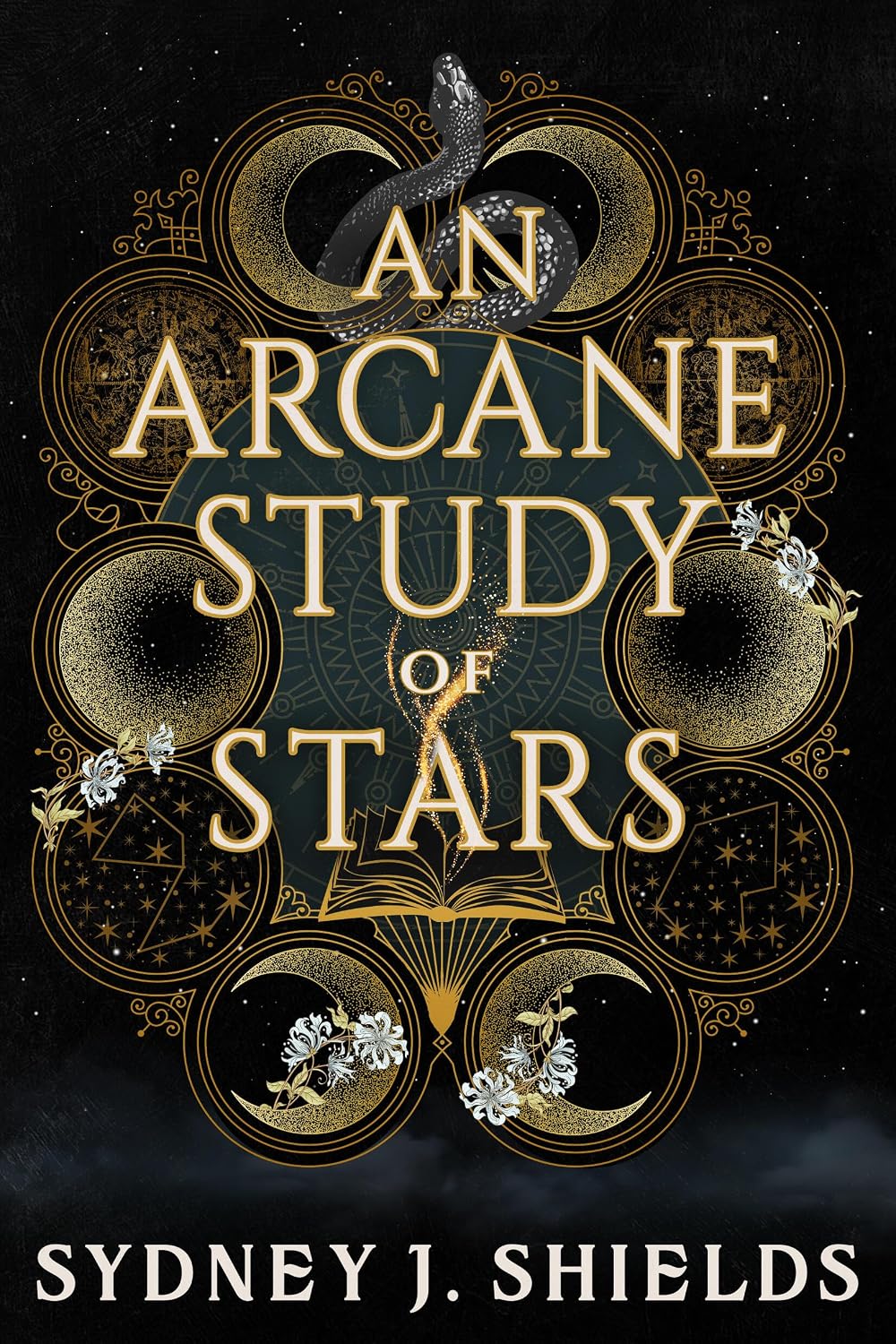 ler totalmente An Arcane Study of Stars (English Edition)