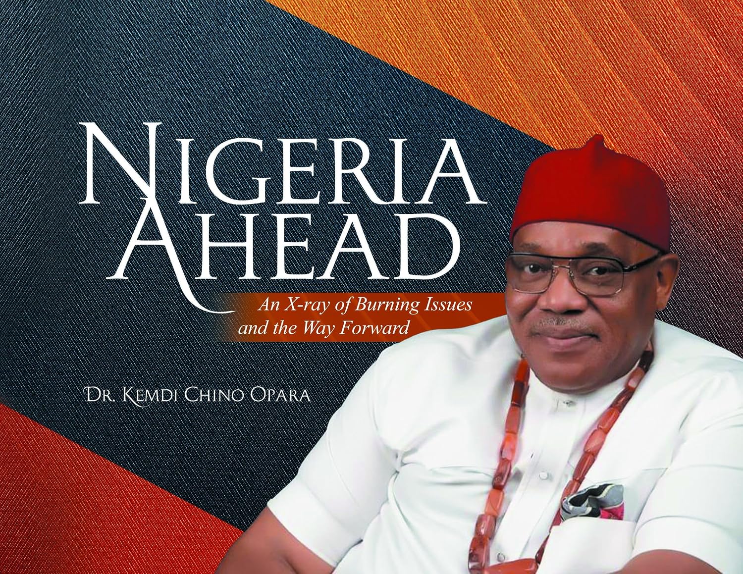 Nigeria Ahead: An X-ray of Burning Issues and the Way Forward (English Edition) baixar livro de graça