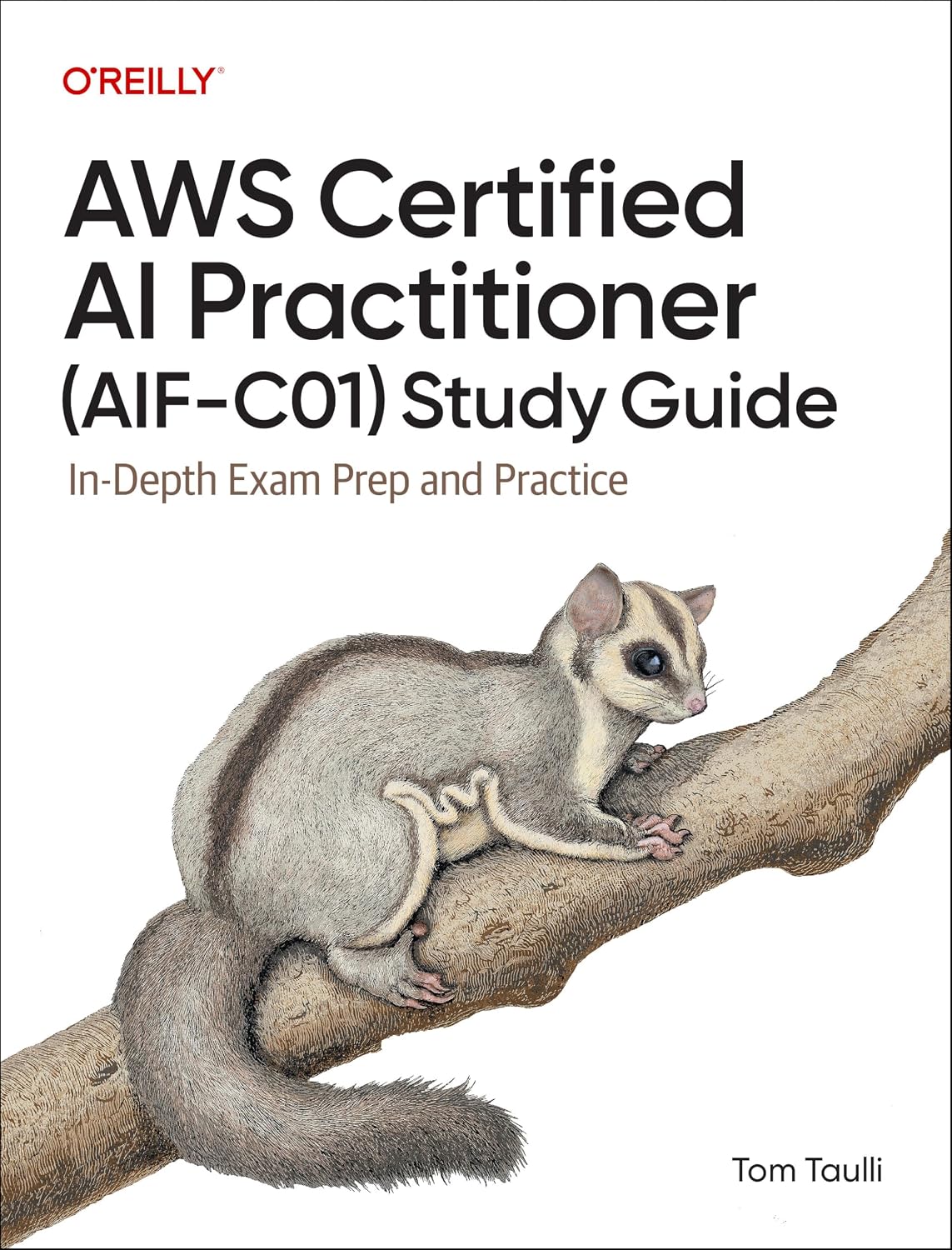 capítulo por capítulo baixar AWS Certified AI Practitioner (Aif-C01) Study Guide: In-Depth Exam Prep and Practice