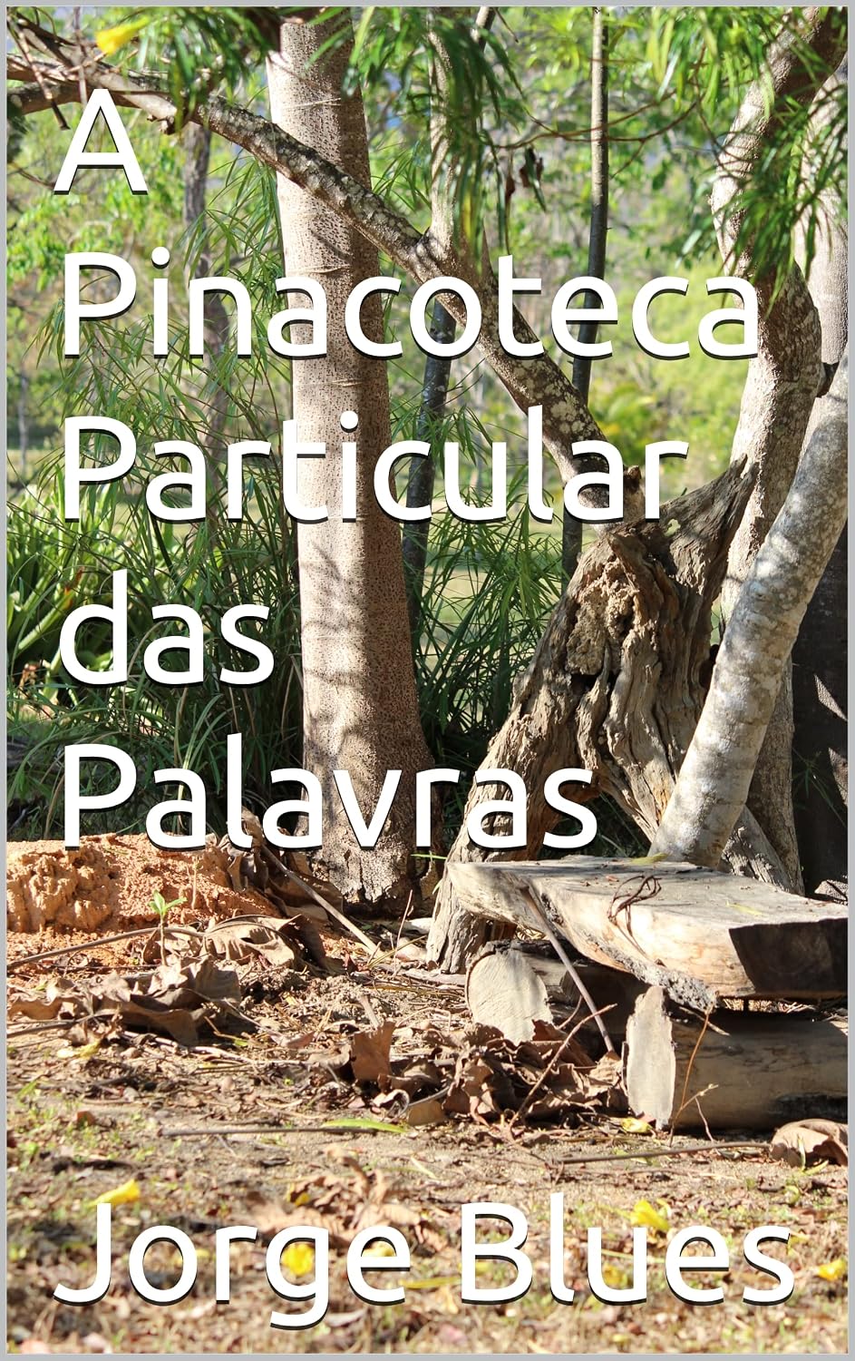 A Pinacoteca Particular das Palavras baixar livro de graça