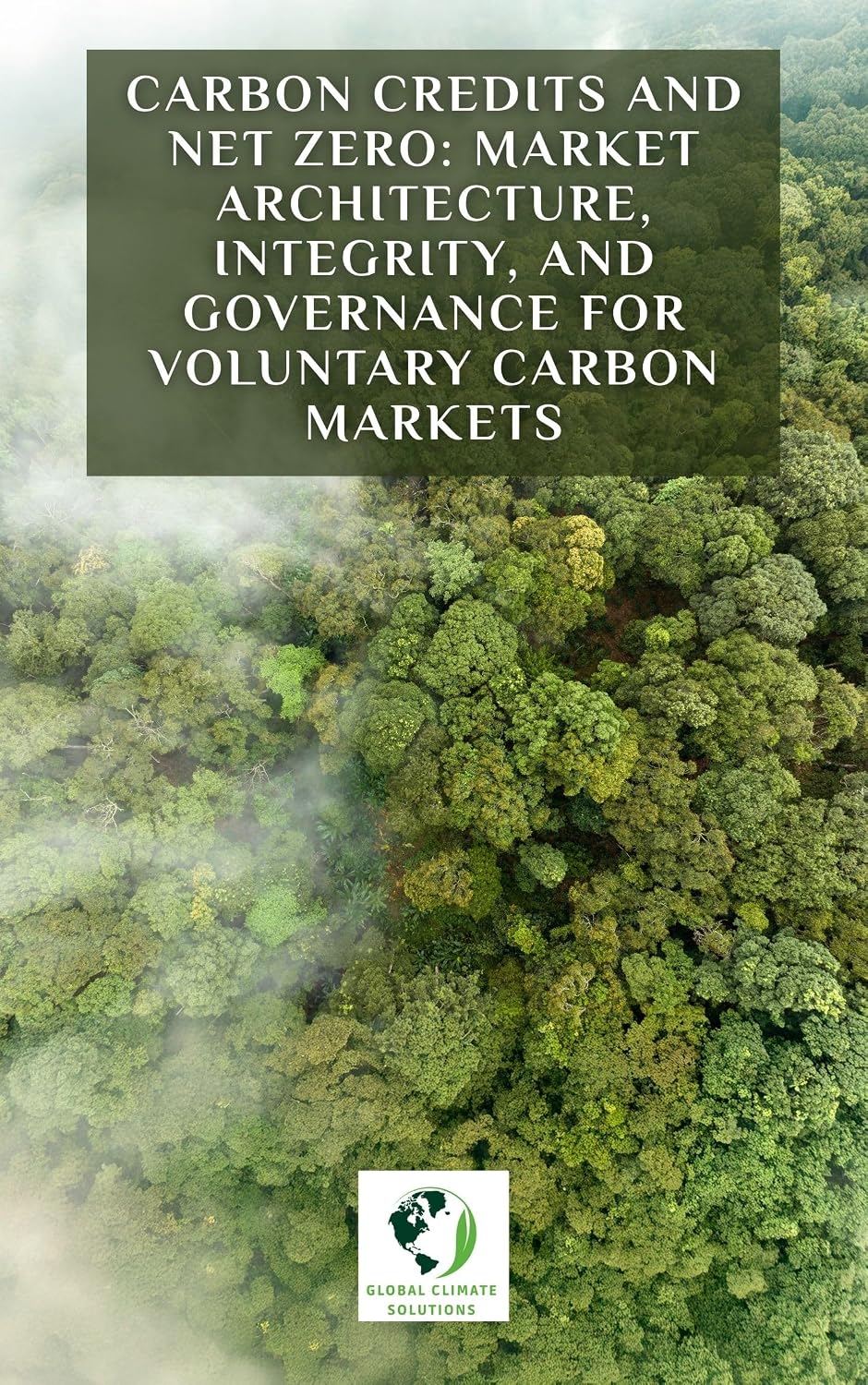 ler totalmente Carbon Credits and Net Zero: Market Architecture, Integrity, and Governance for Voluntary Carbon Markets (English Edition)