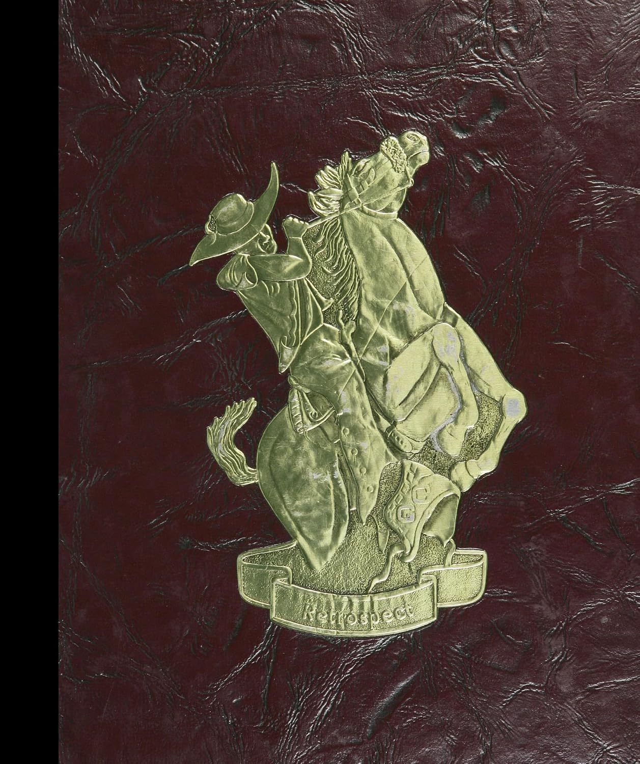 ler totalmente (Reprint) 1981 Yearbook: Casa Grande High School, Petaluma, California