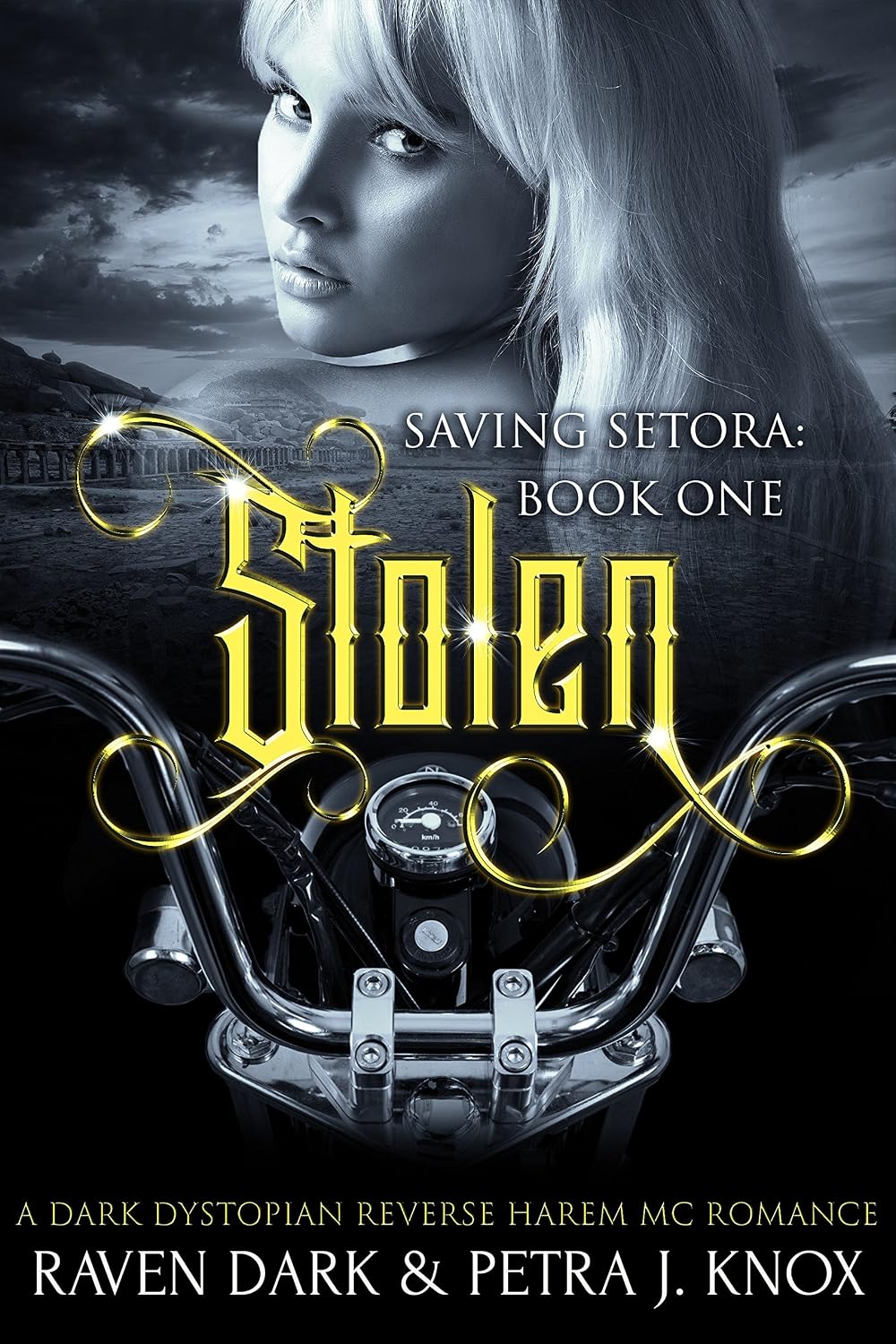 Stolen: Saving Setora (Book One) (Dark Dystopian Reverse Harem MC Romance) (English Edition) baixar livro de graça