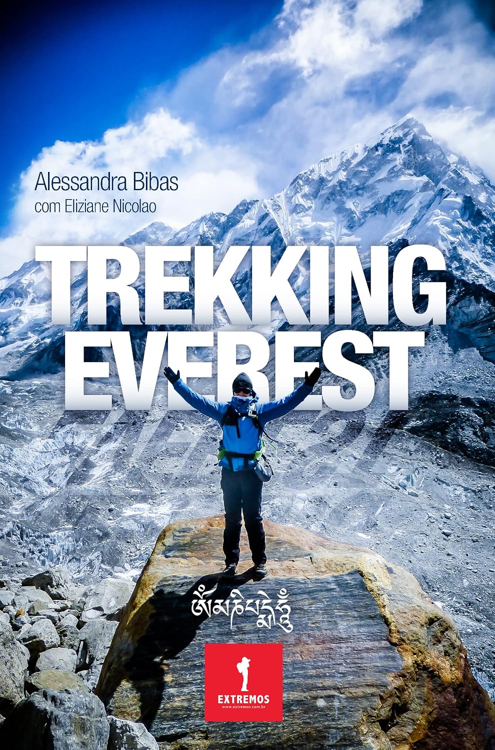 ler totalmente Trekking Everest
